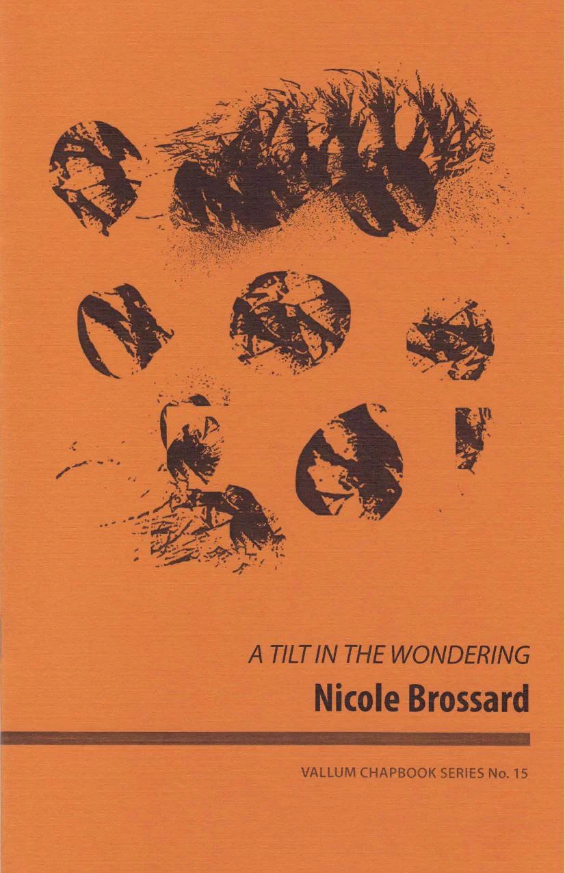 A Tilt in The Wondering, 2013.