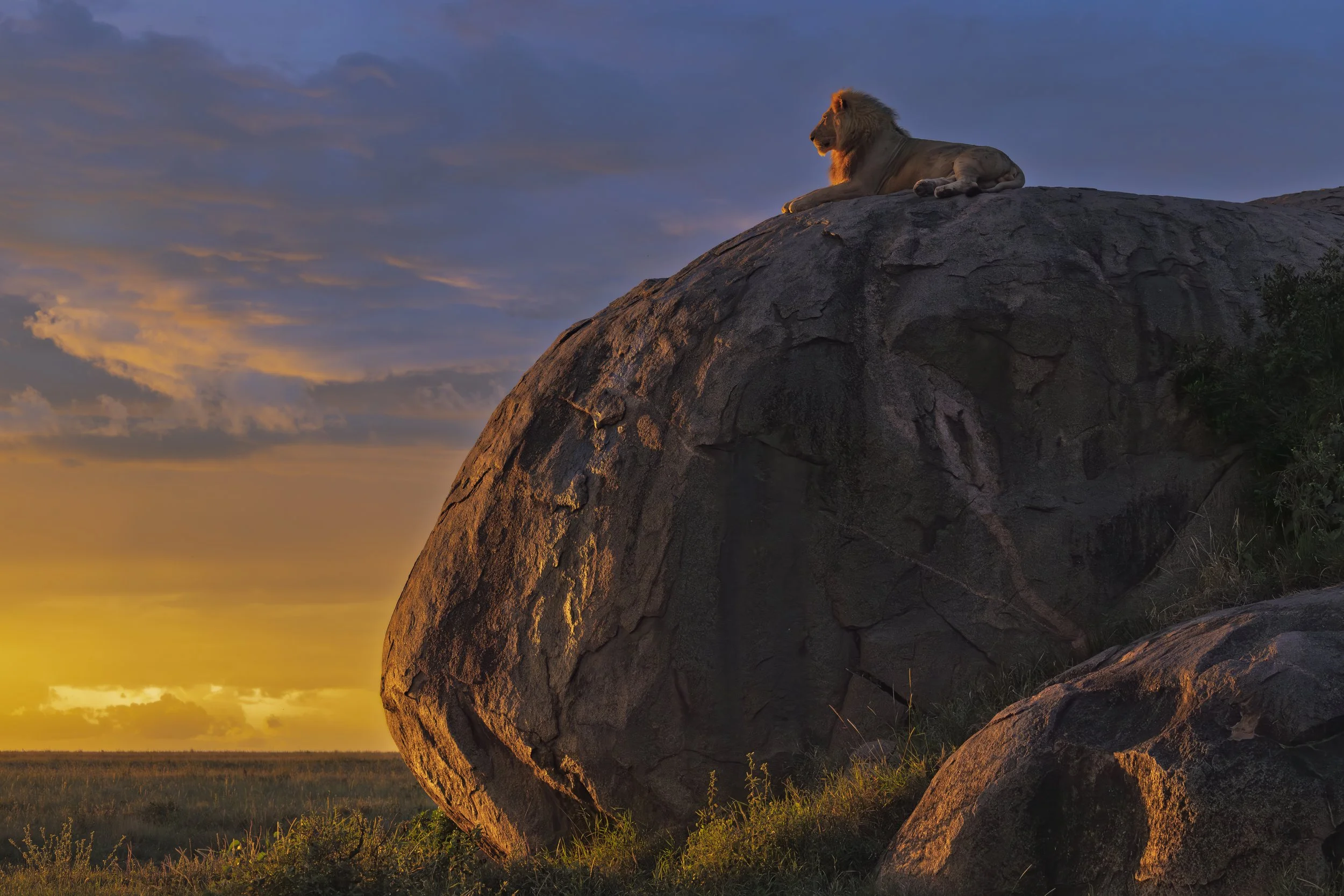 Sunset over the Serengeti plains 