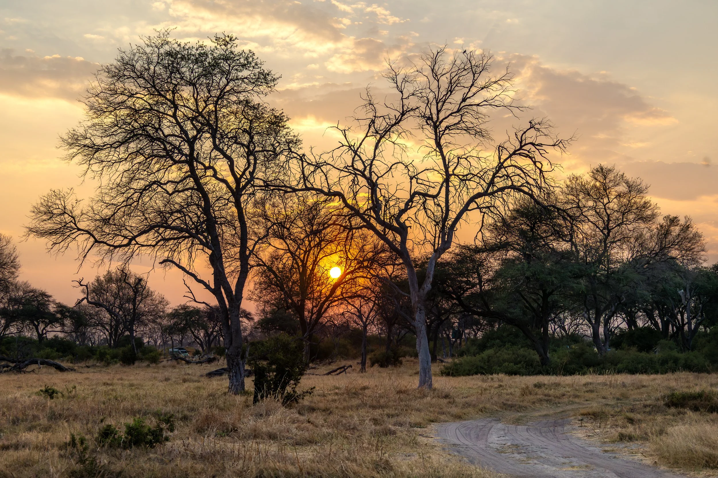 Khwai Development Trust - Botswana