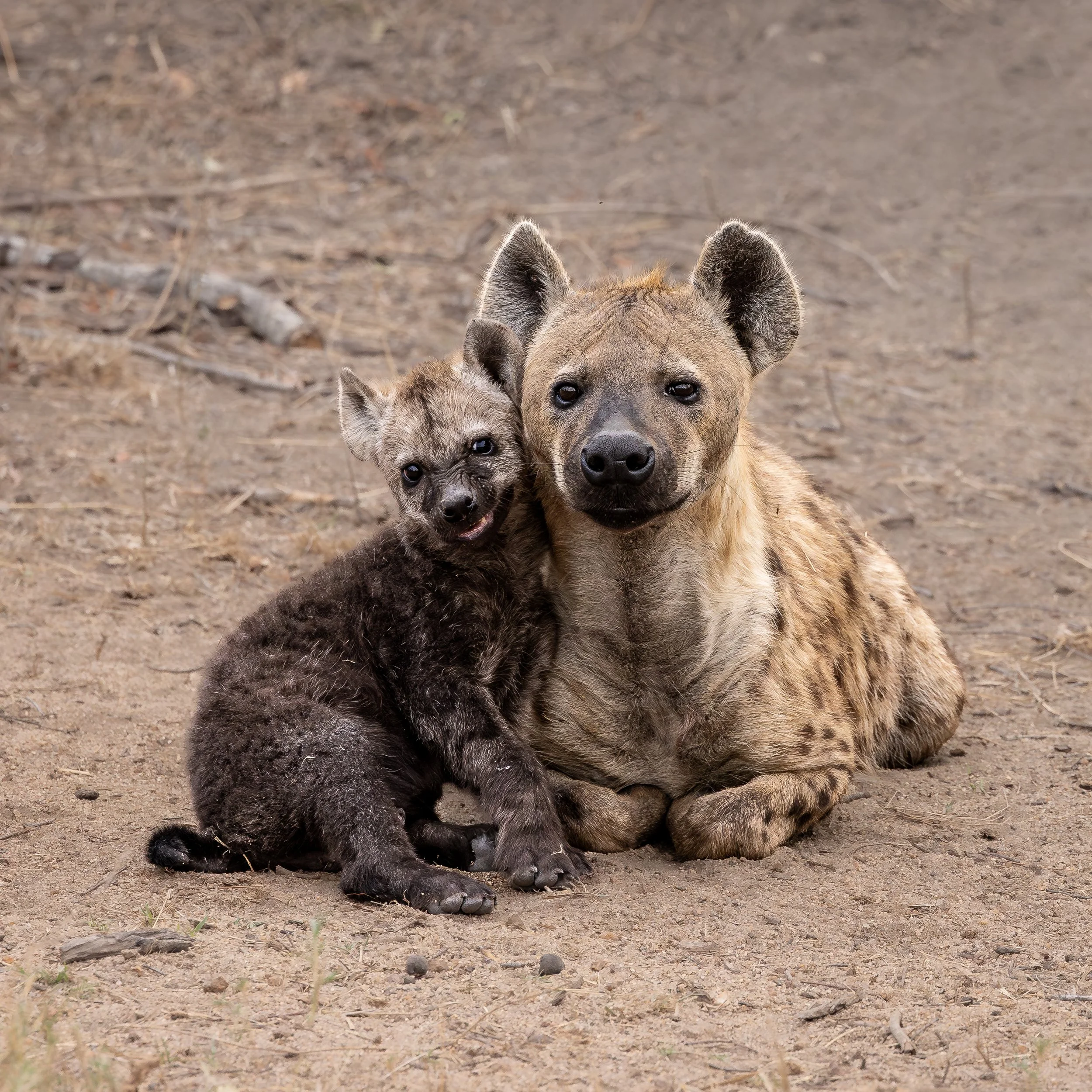 Elephant Plains-GAK-3176.jpg