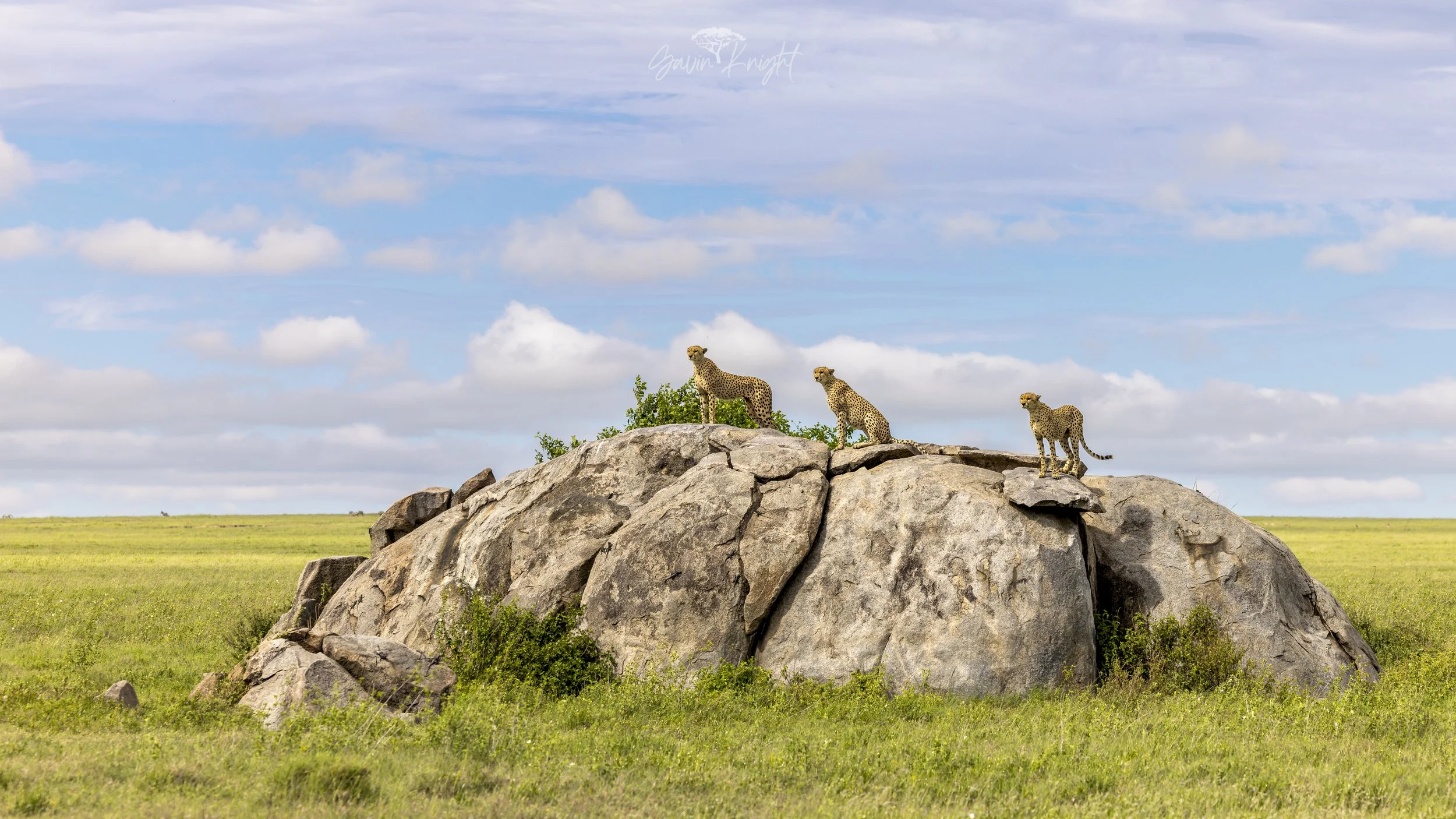 Serengeti, Tanzania