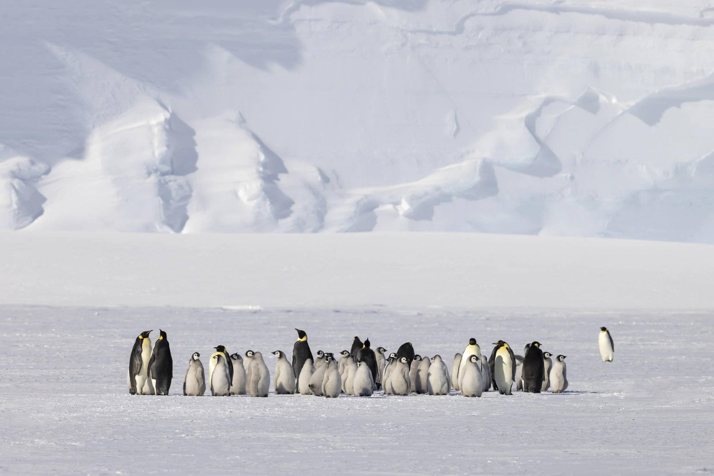 Queen Maud Land, Antarctica