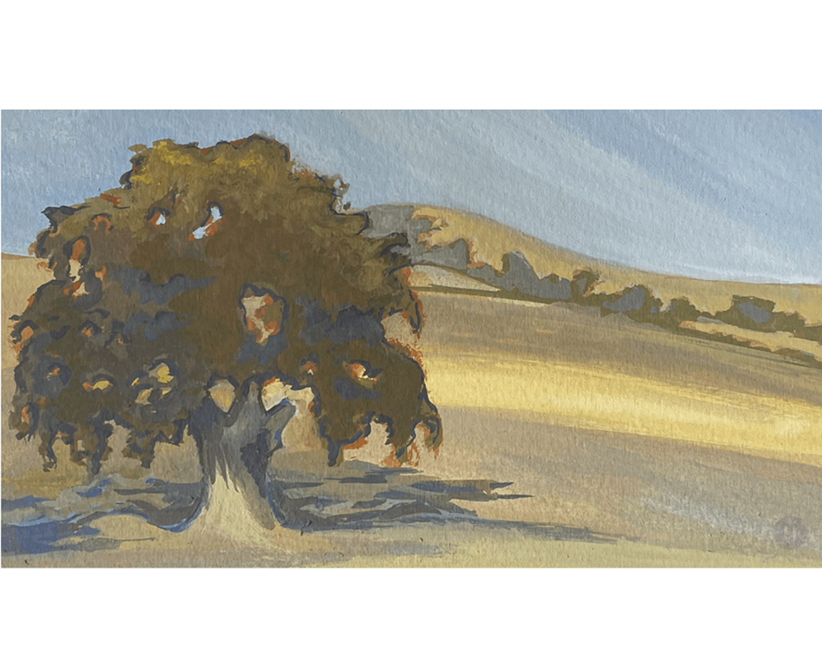 Diablo North Entrance Oak  7" x 4"