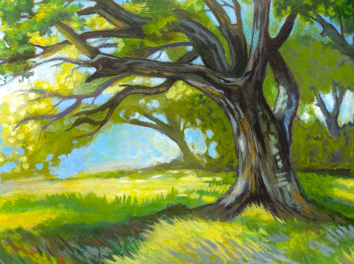 Big Oak on Diablo Turn, Acrylic on Canvas 13"w x 9"h
