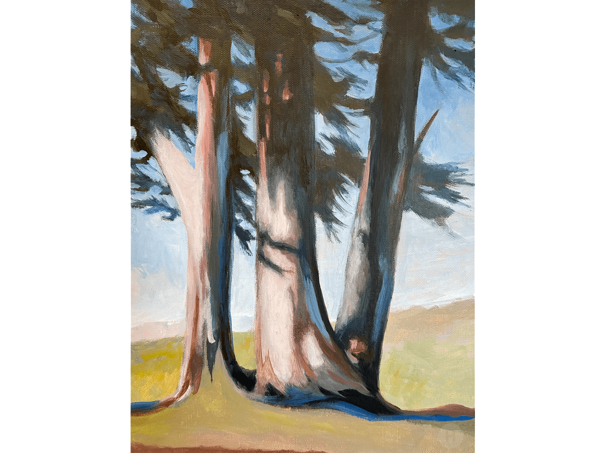 Point Reyes Cypress, Acrylic on Canvas 12"h x 12"w
