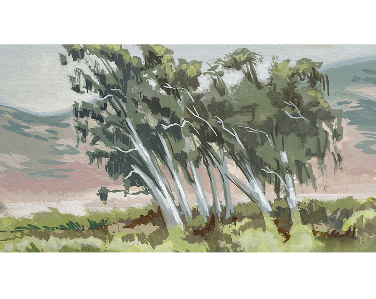 Chileno Valley Road, Sonoma, Ca. 7"w x 4"h