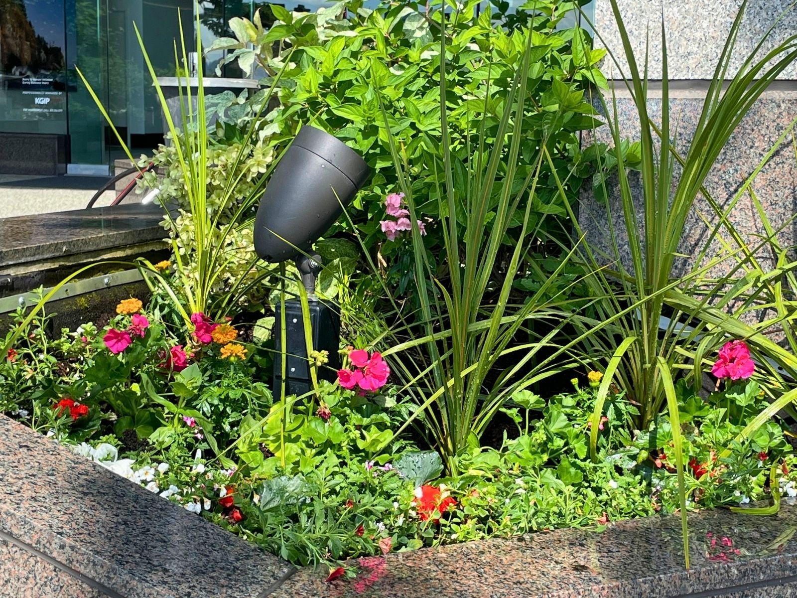 Midori-plantscapes-design-8.jpg