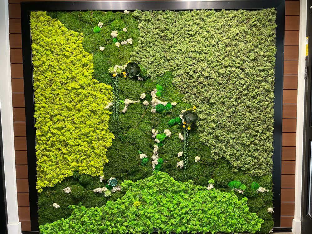 midori-green-preserved-moss-1.jpg