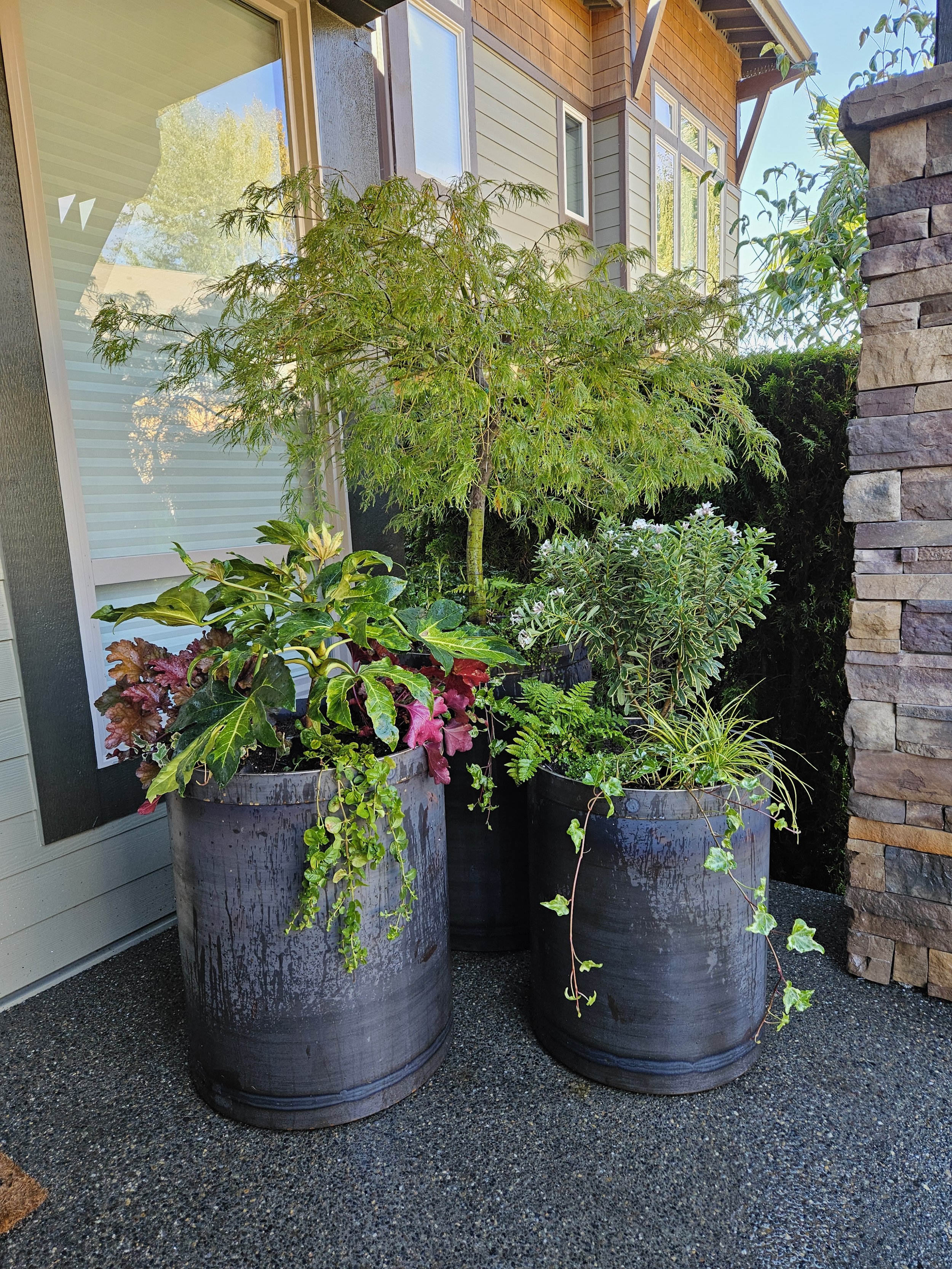 midori-container-design-julie-2.jpg