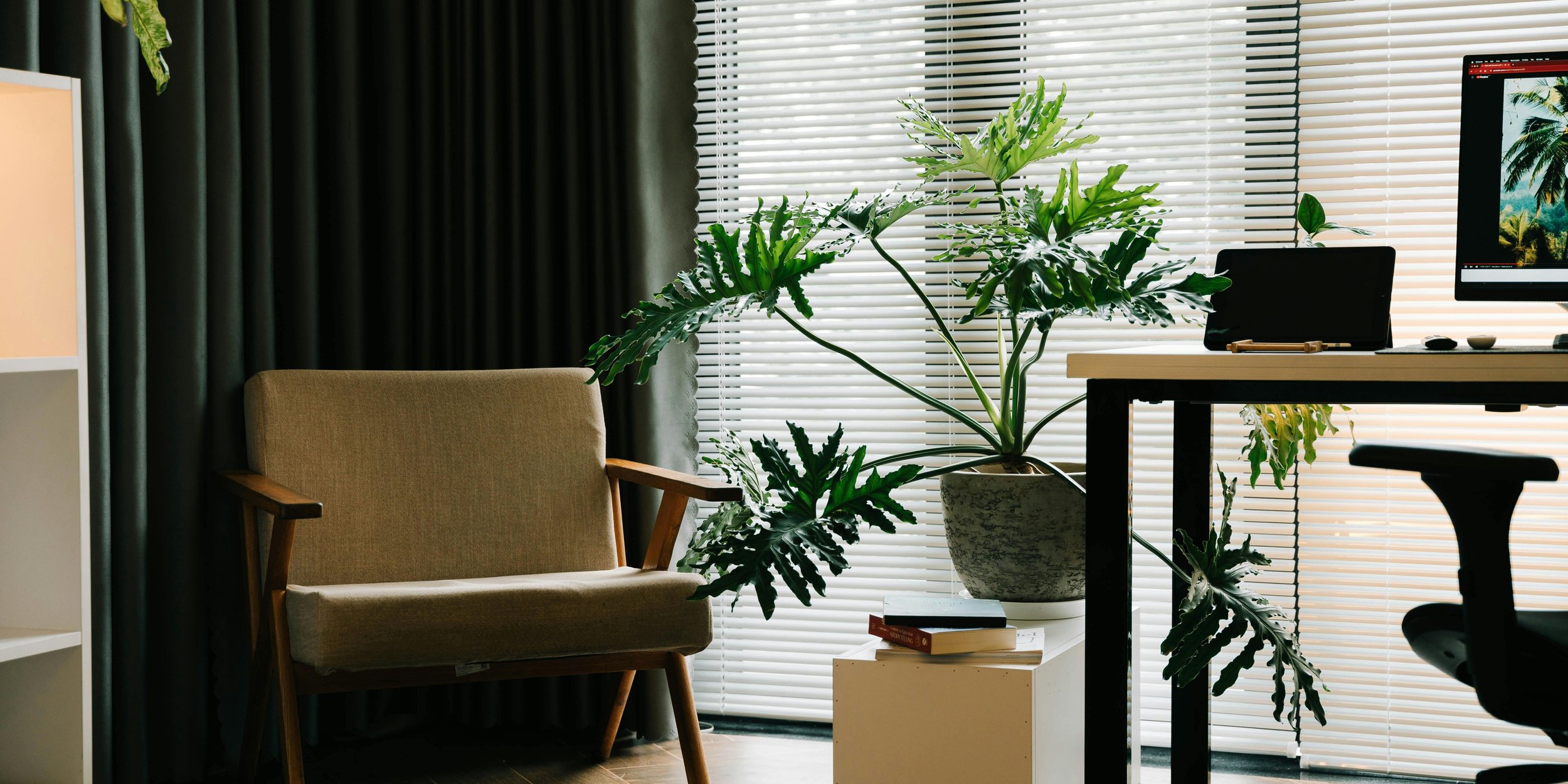 A guide to choosing the best plants to work alongside you at the Office