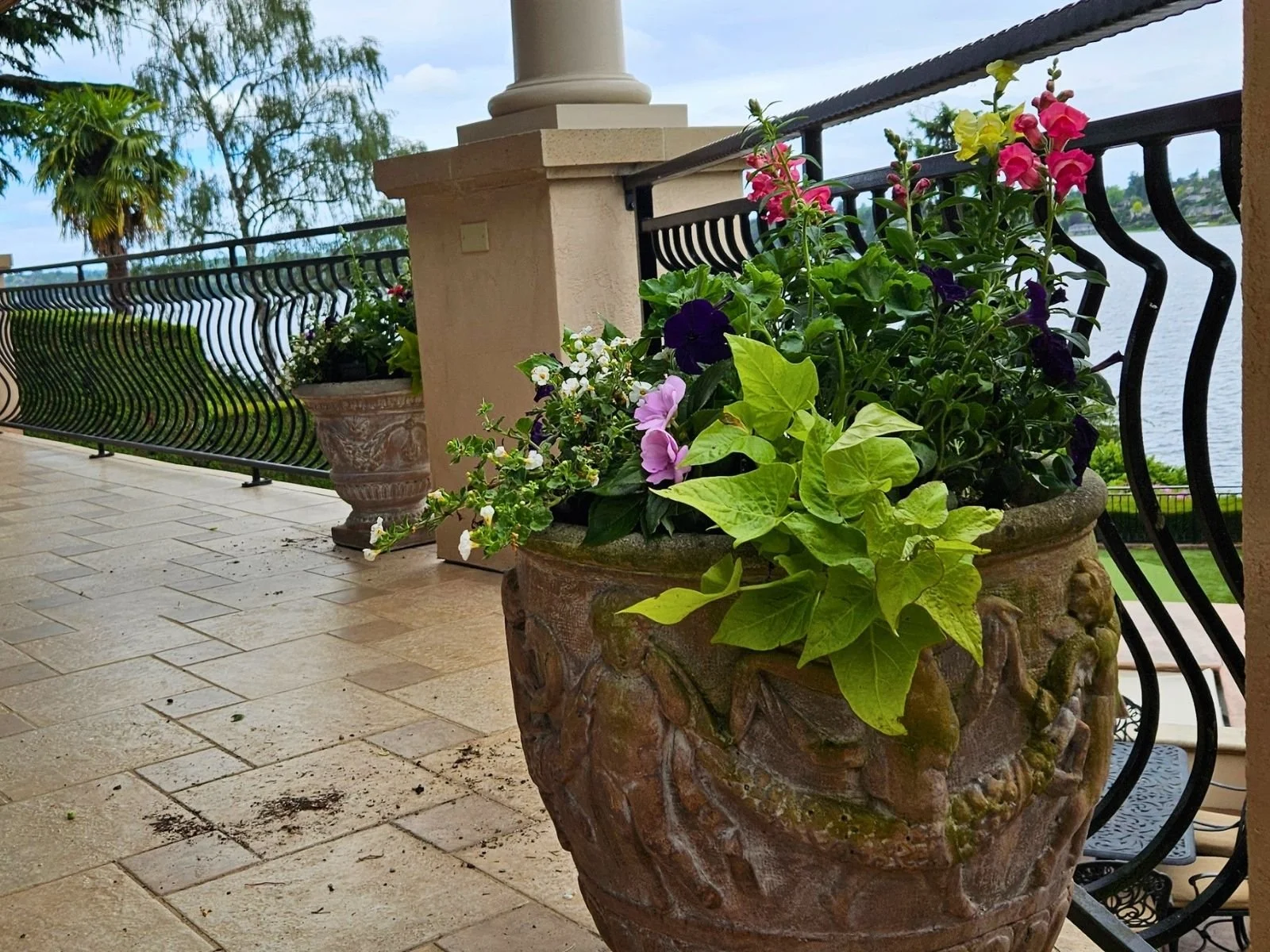 Midori-plantscapes-design-13.jpg
