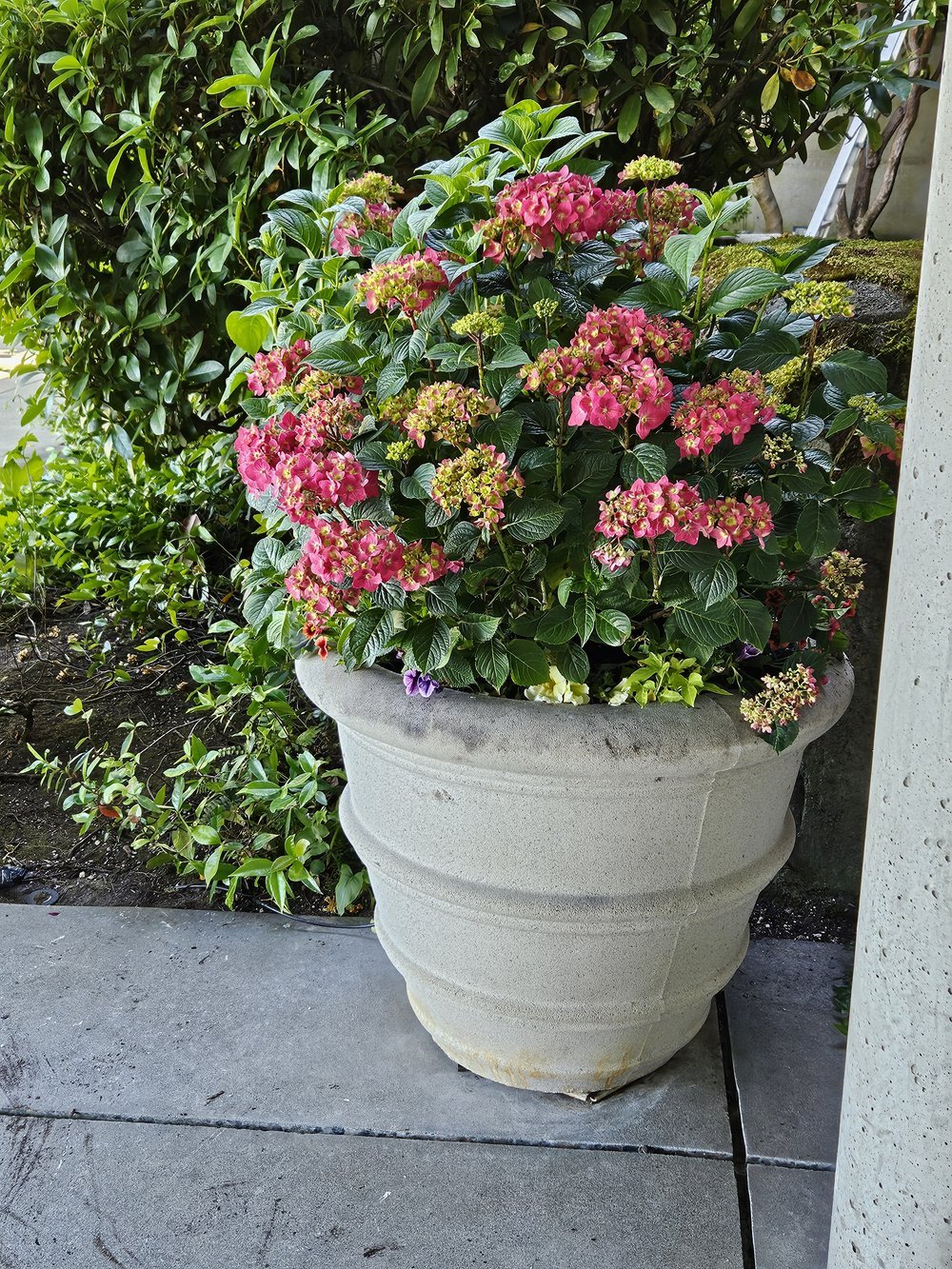 midori-container-design-18.jpg