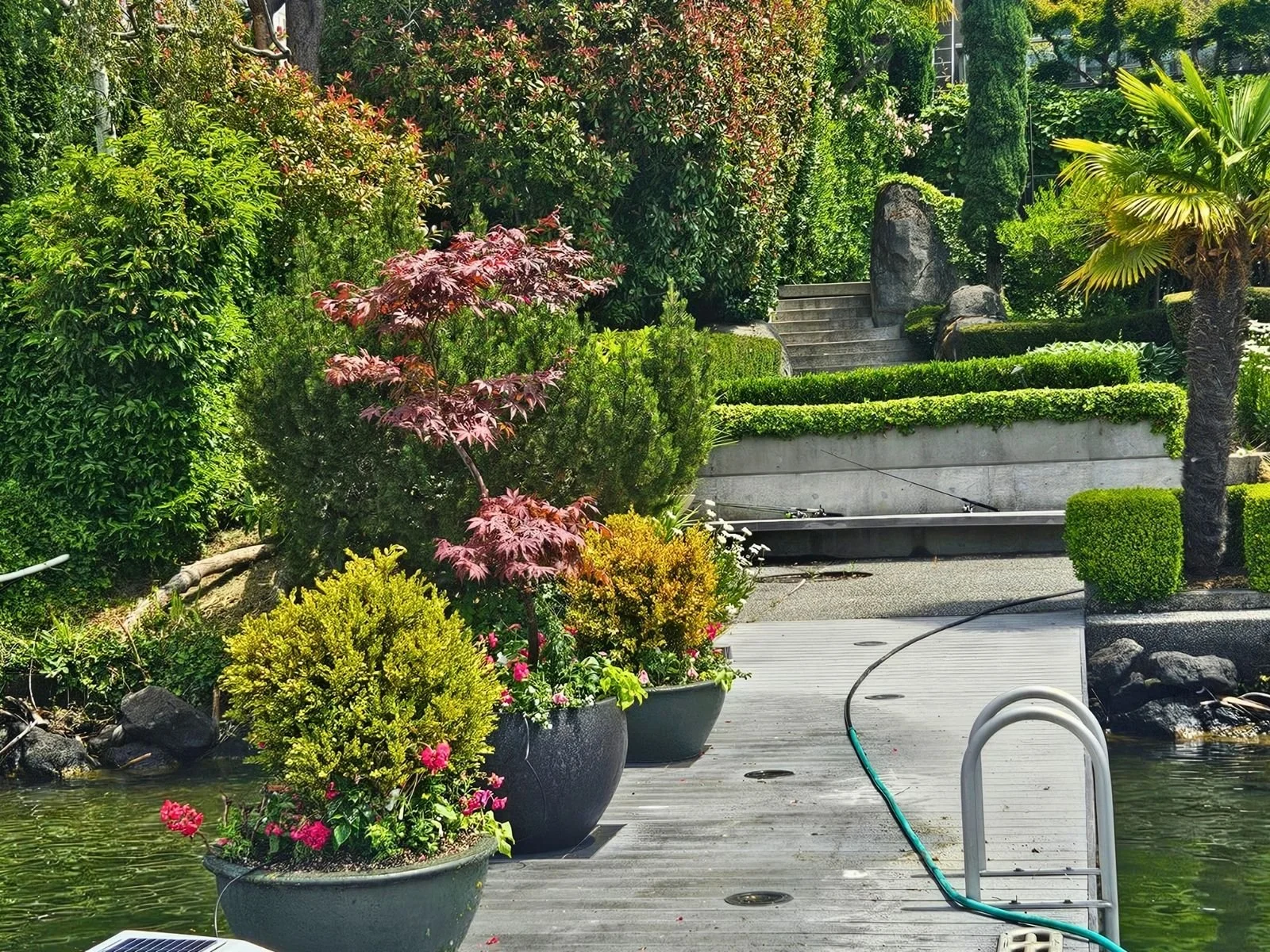 Midori-plantscapes-design-14.jpg