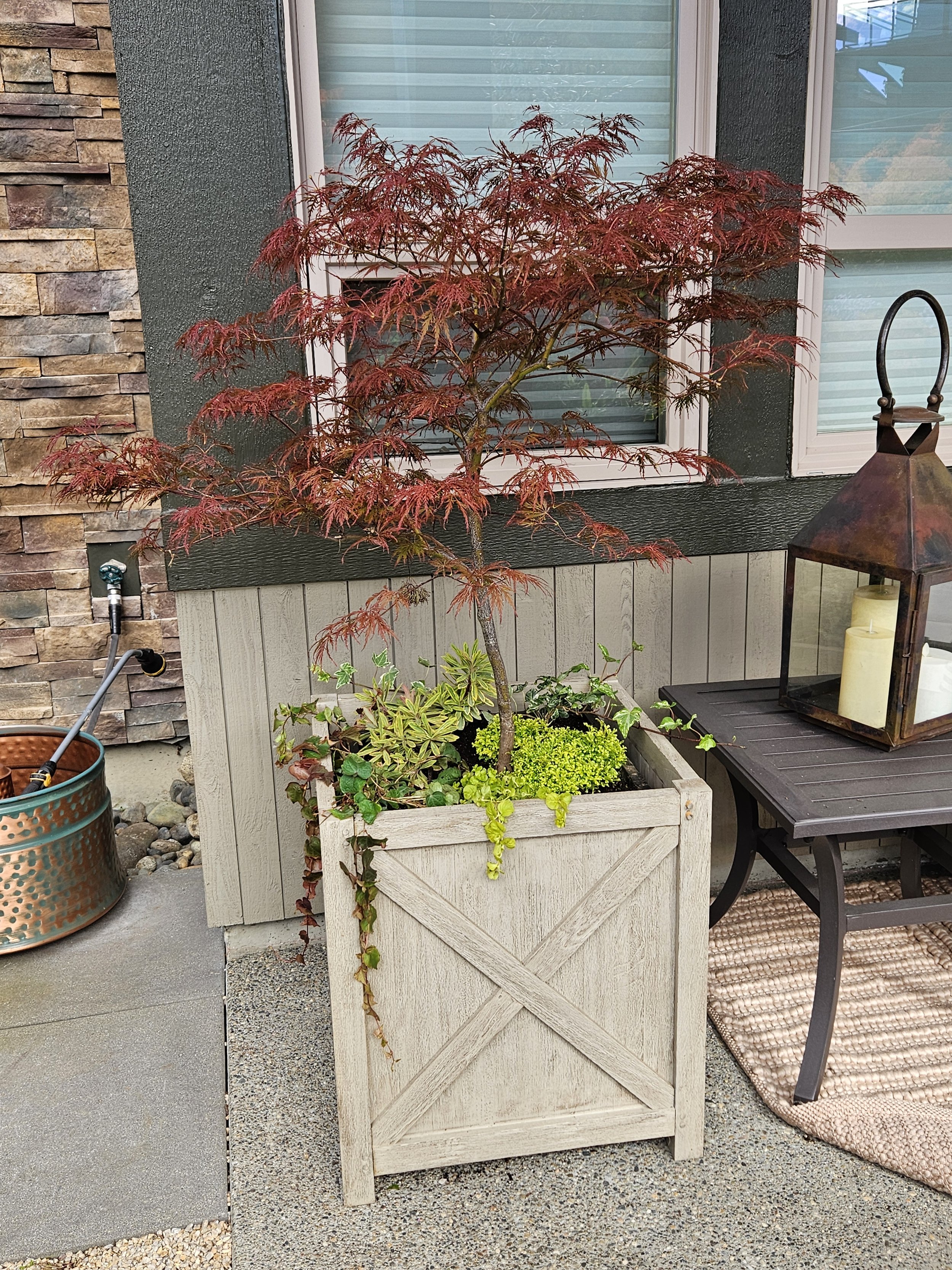 midori-container-design-julie-1.jpg