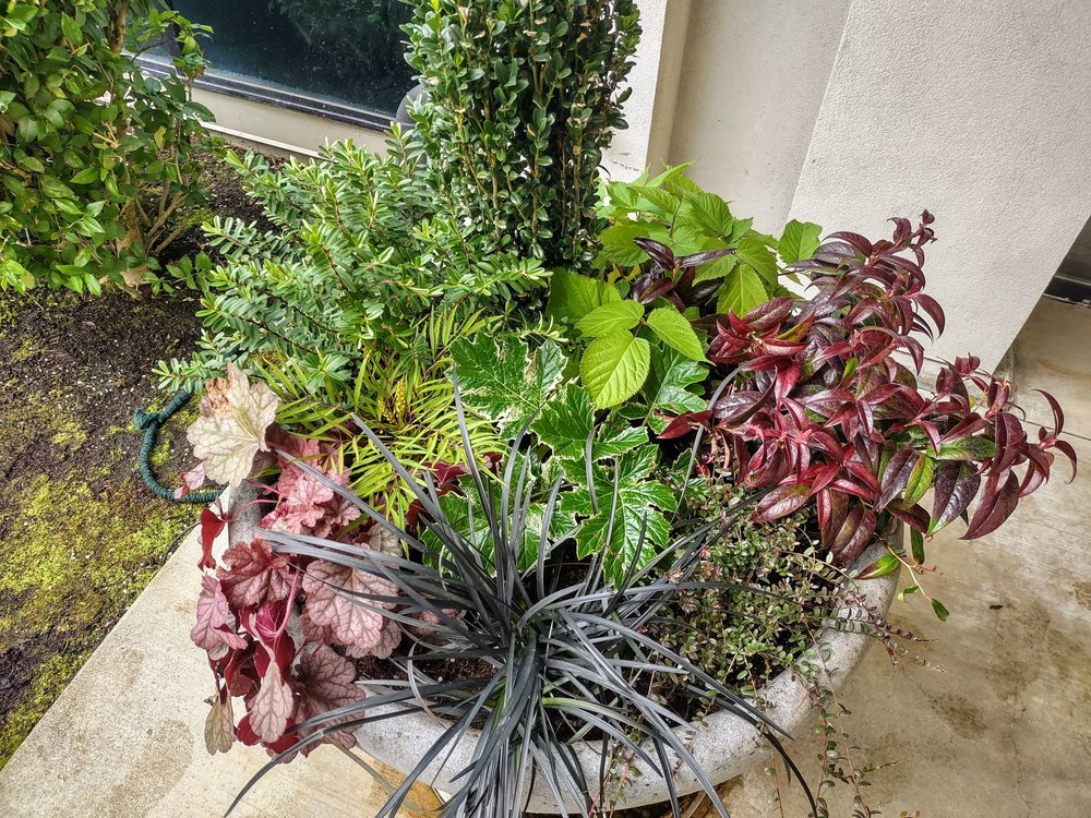 midori-container-design-24.jpg