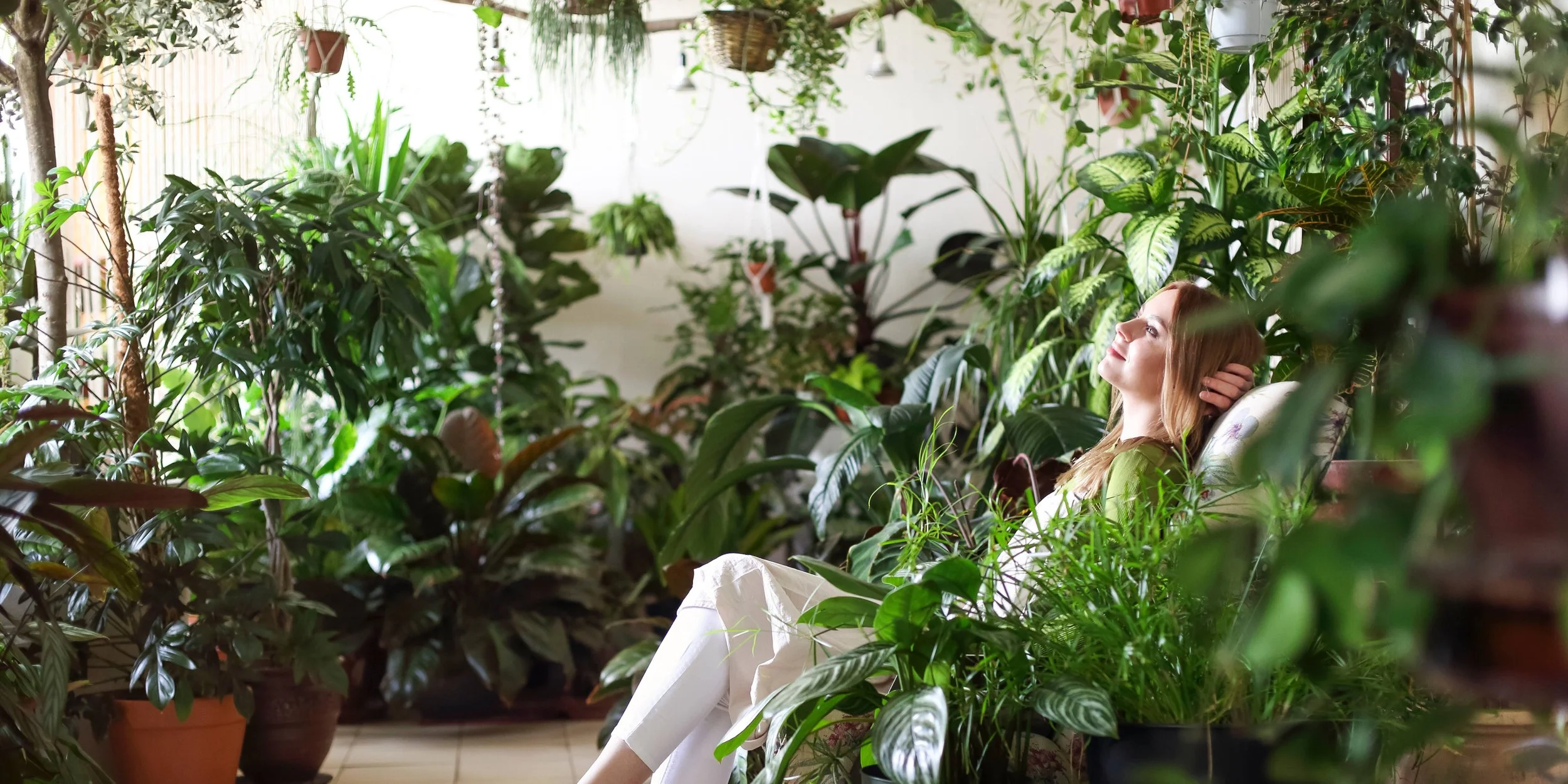 From Summer to Fall: Keeping greenery alive all year with Midori Plantscapes