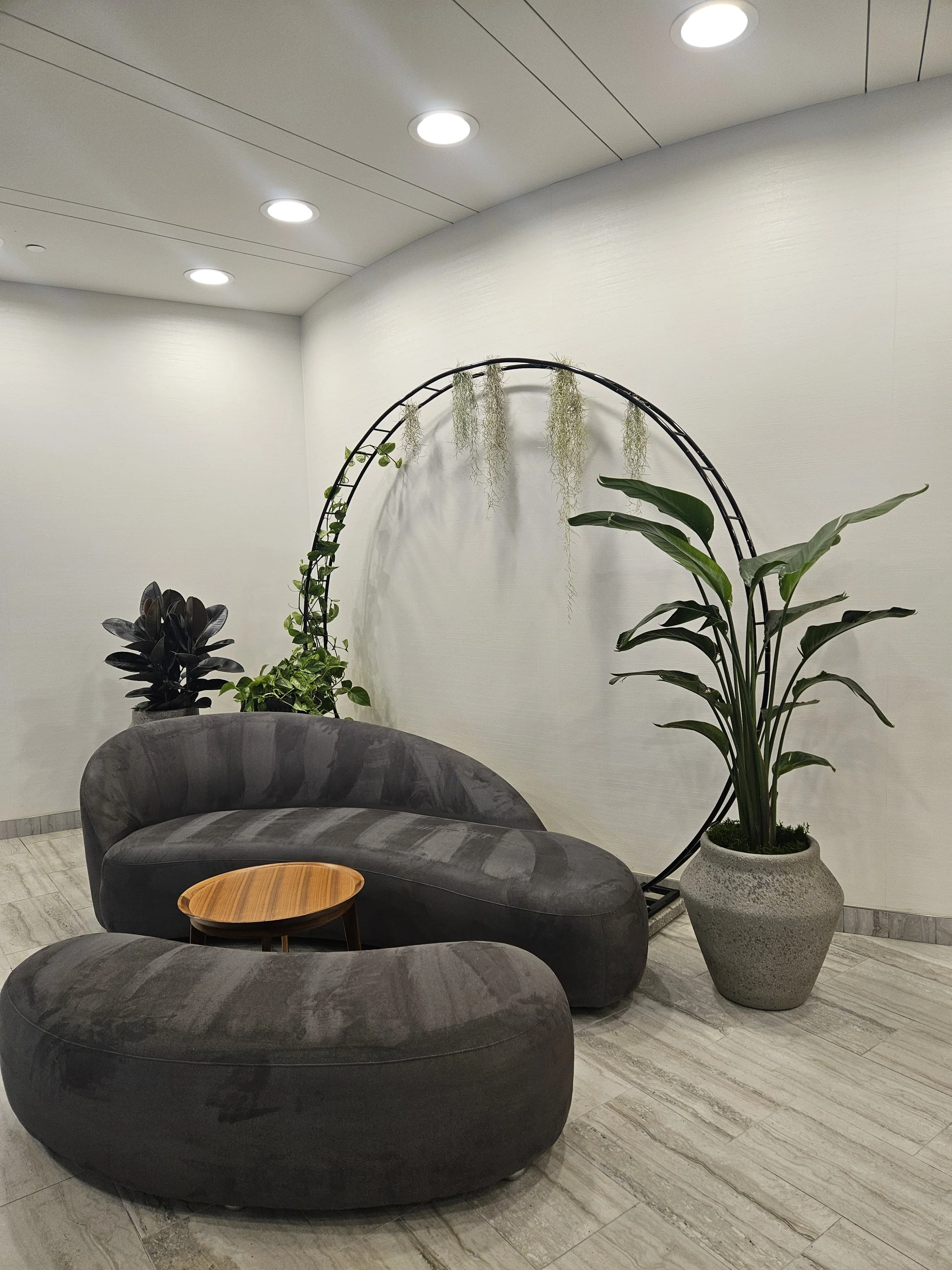 Midori_Plantscapes_Interior_Plant_Part 1.jpg