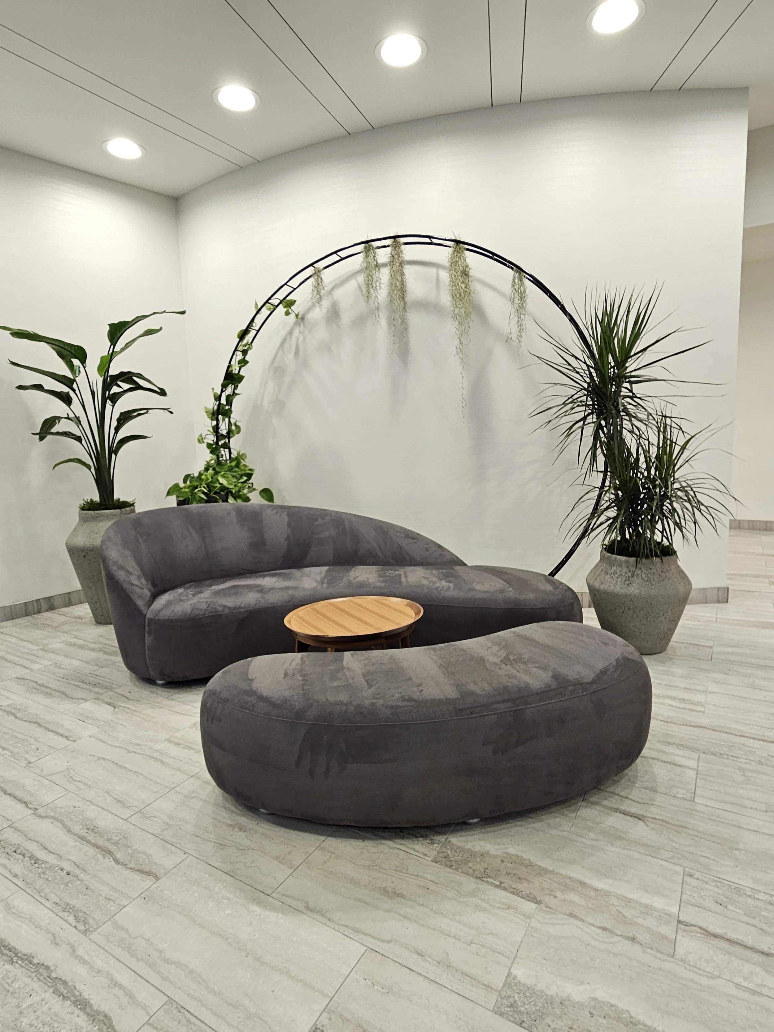 Midori_Plantscapes_Interior_Plant_Part 2.jpg