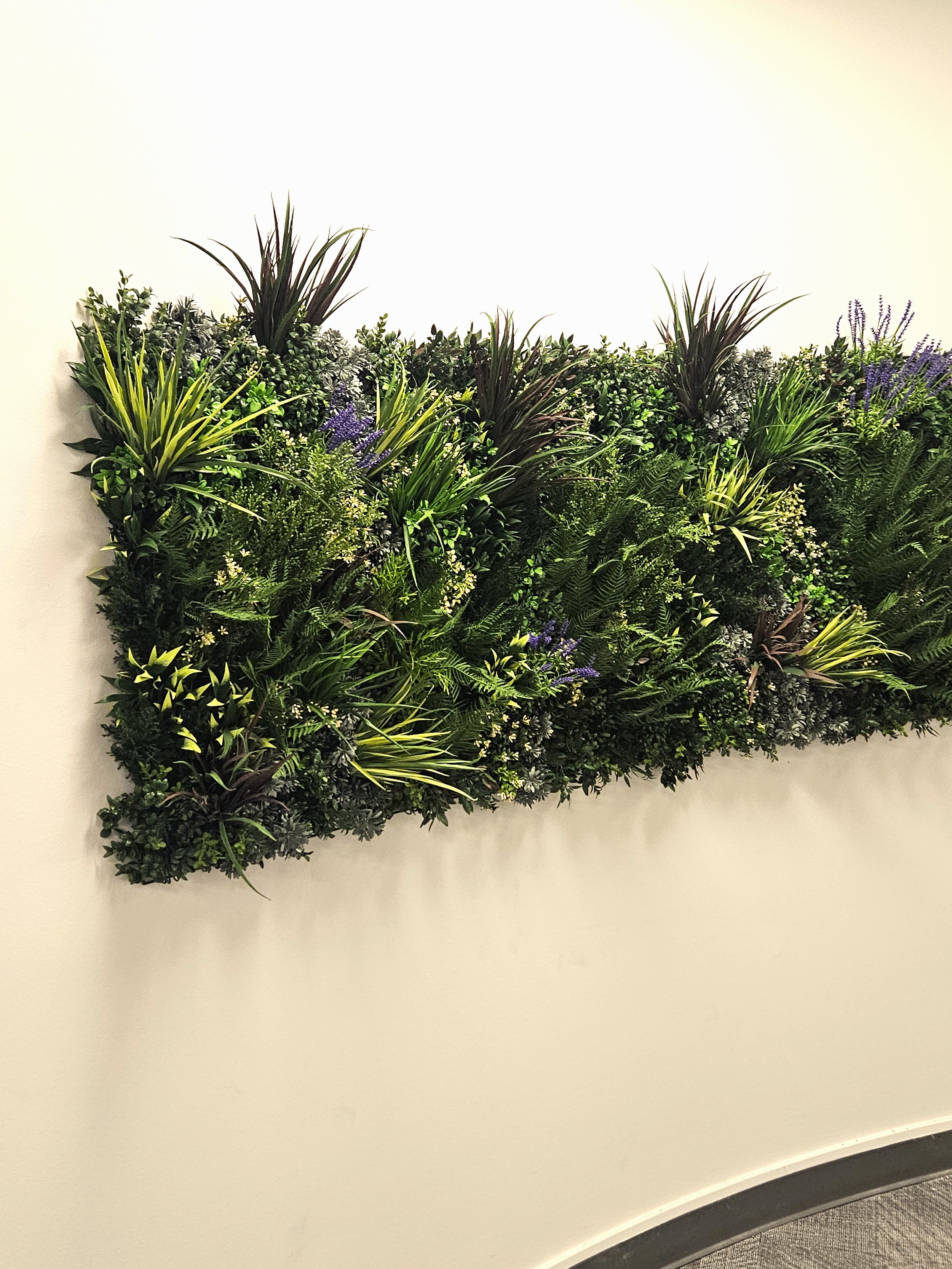 midori-green-wall-2.jpg