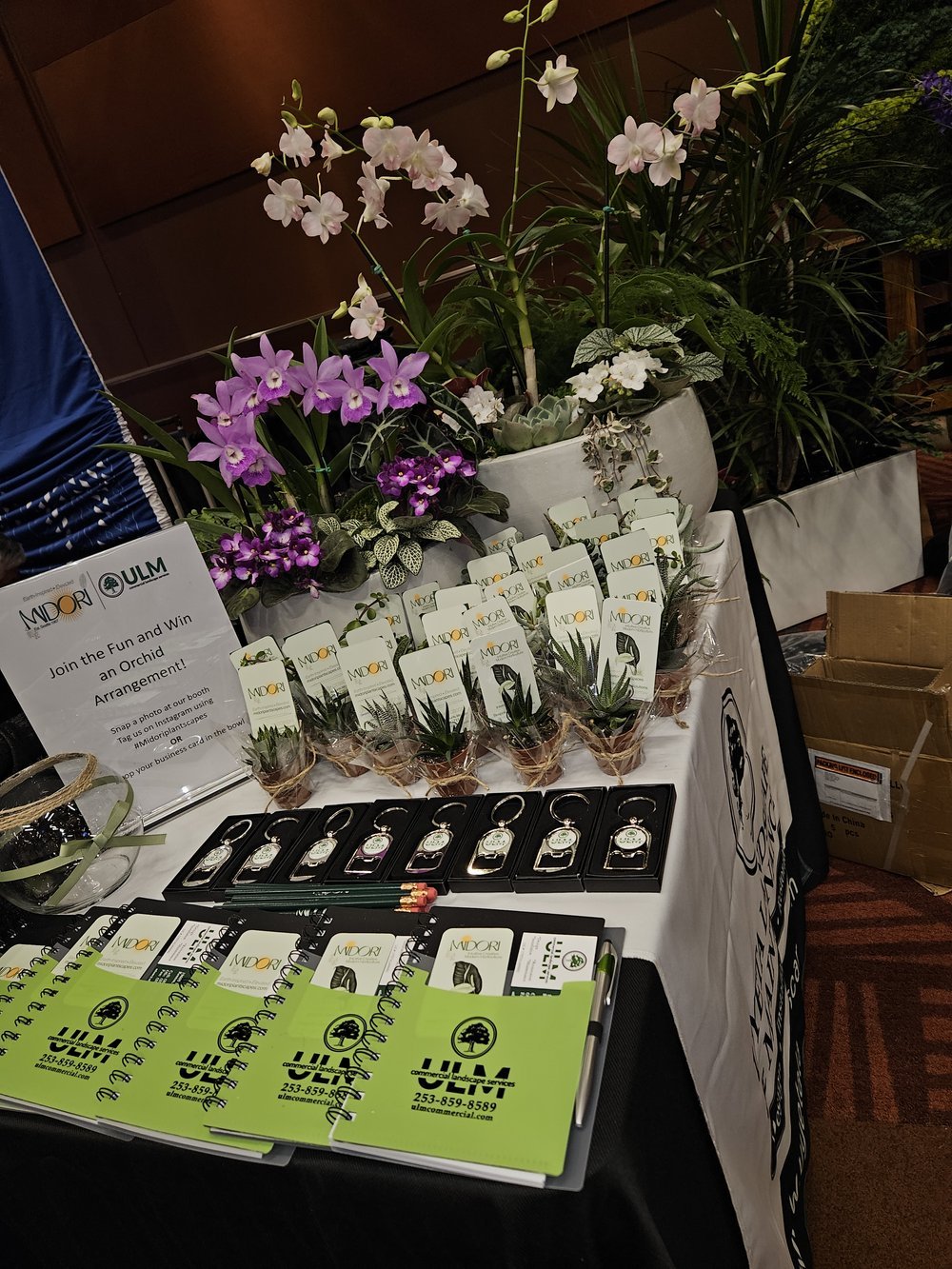 midori-portfolio-marketing-1.jpg