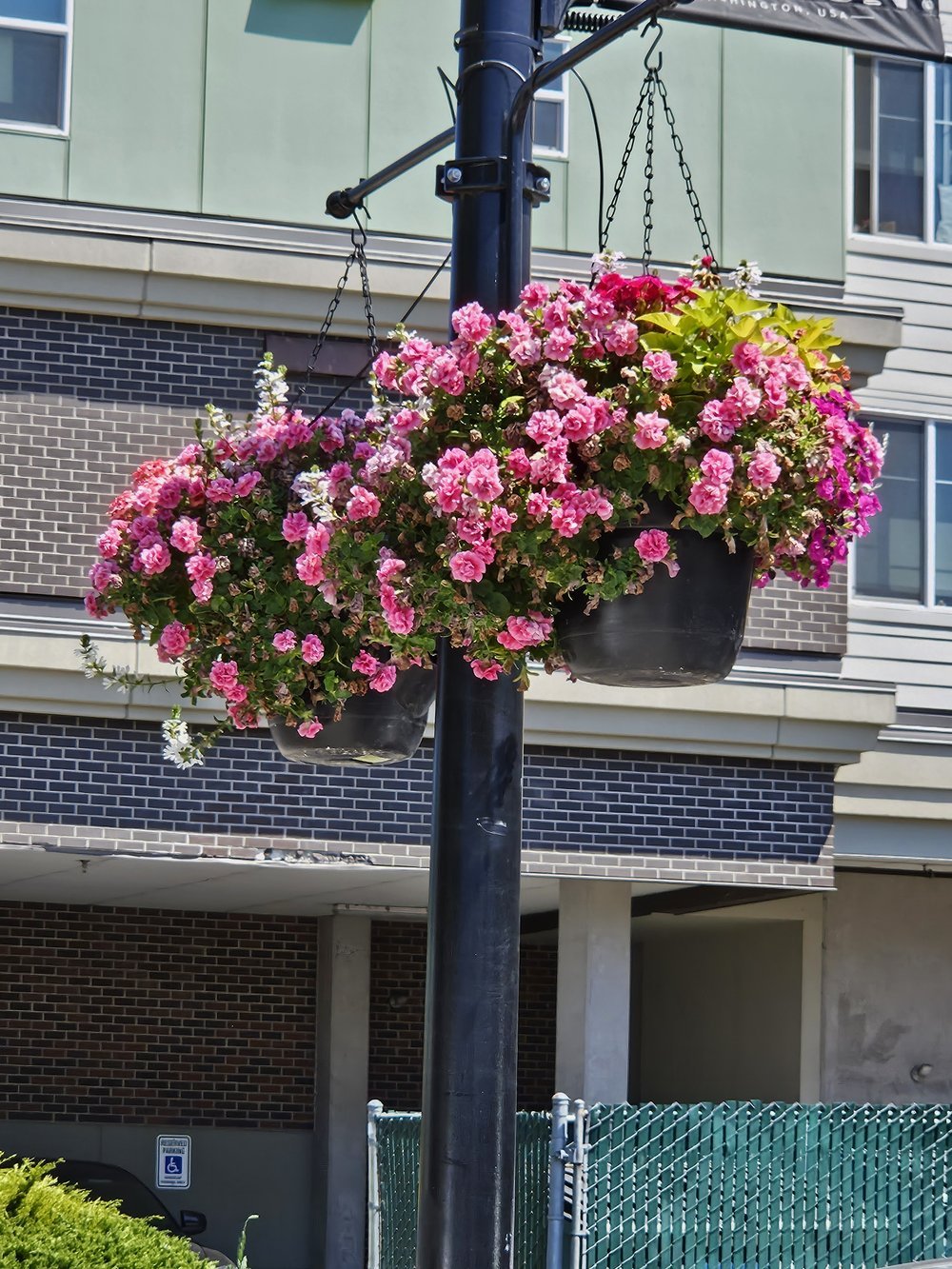 midori-seasonal-color-13.jpg