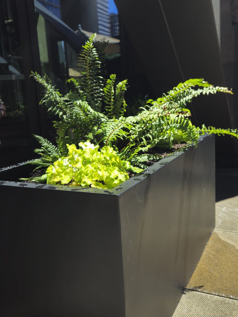 midori-container-design-16.jpg
