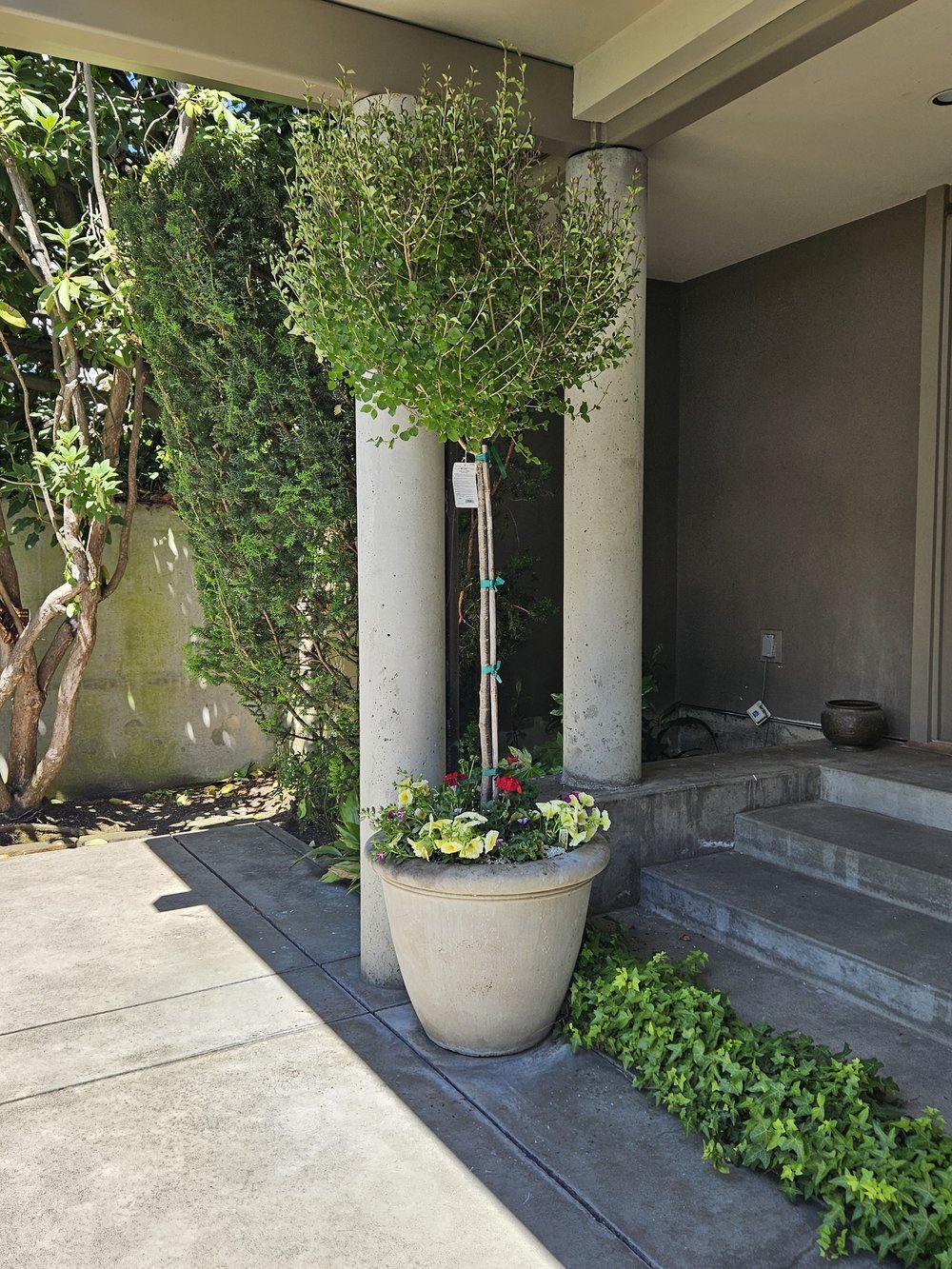 midori-container-design-19.jpg