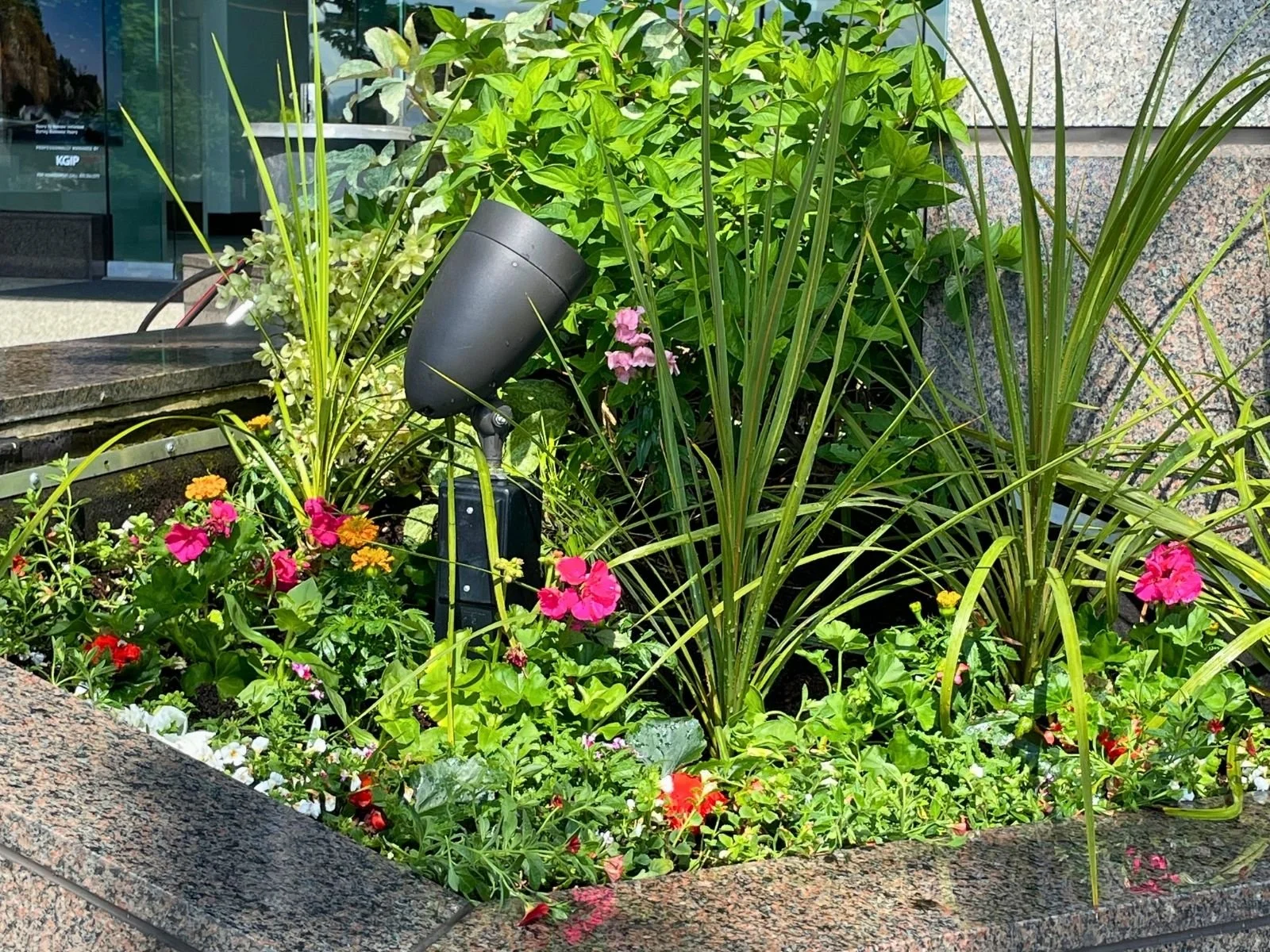 Midori-plantscapes-design-8.jpg