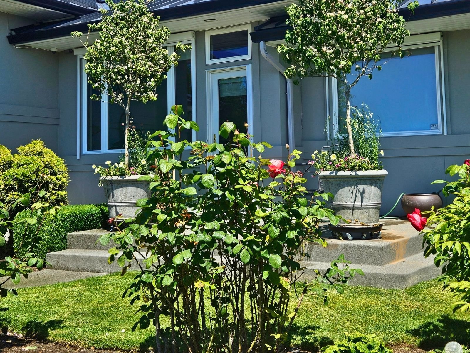 Midori-plantscapes-design-15.jpg