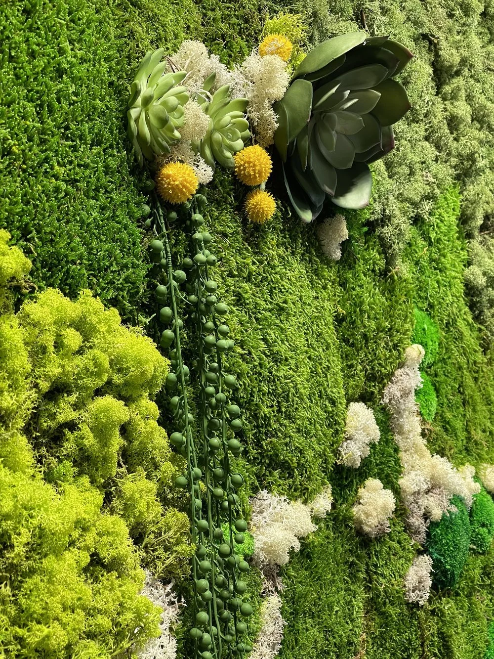 midori-green-preserved-moss-cover.jpg