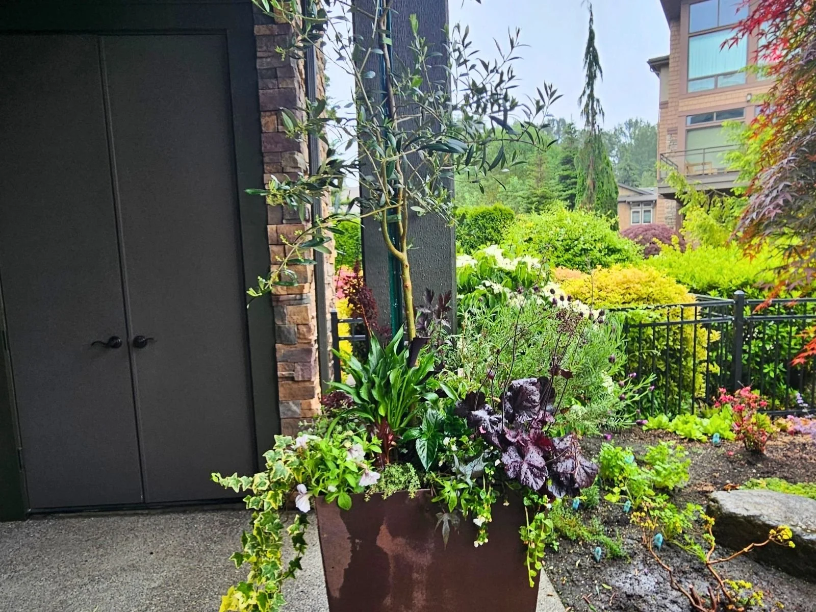 Midori-plantscapes-design-19.jpg