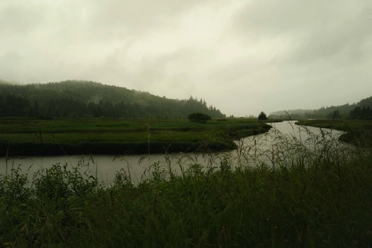 Pacific Northwest &bull; Cape Flattery