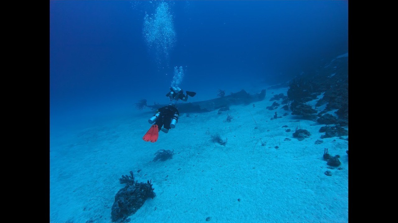 Scuba diver swimming near the ocean floor with coral and rocks