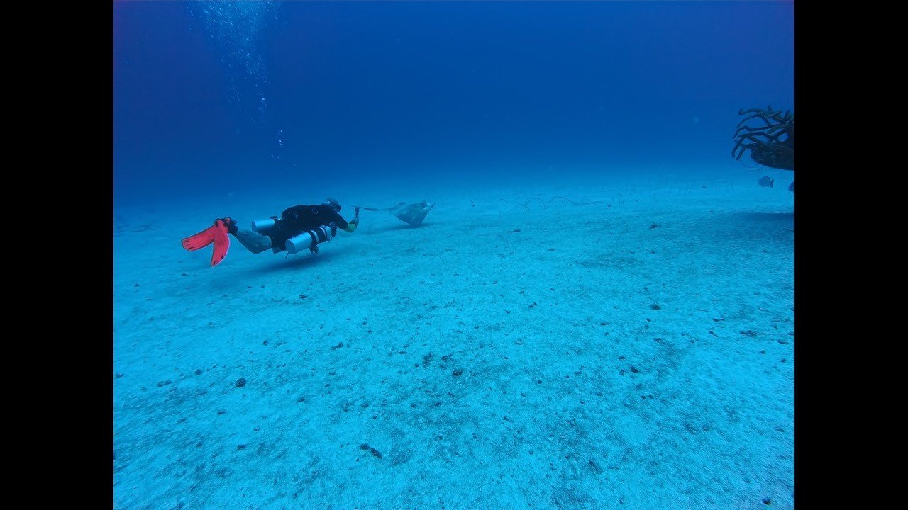 A scuba diver with red fins swimming in the clear blue ocean with a sandy ocean floor and coral on the right side.