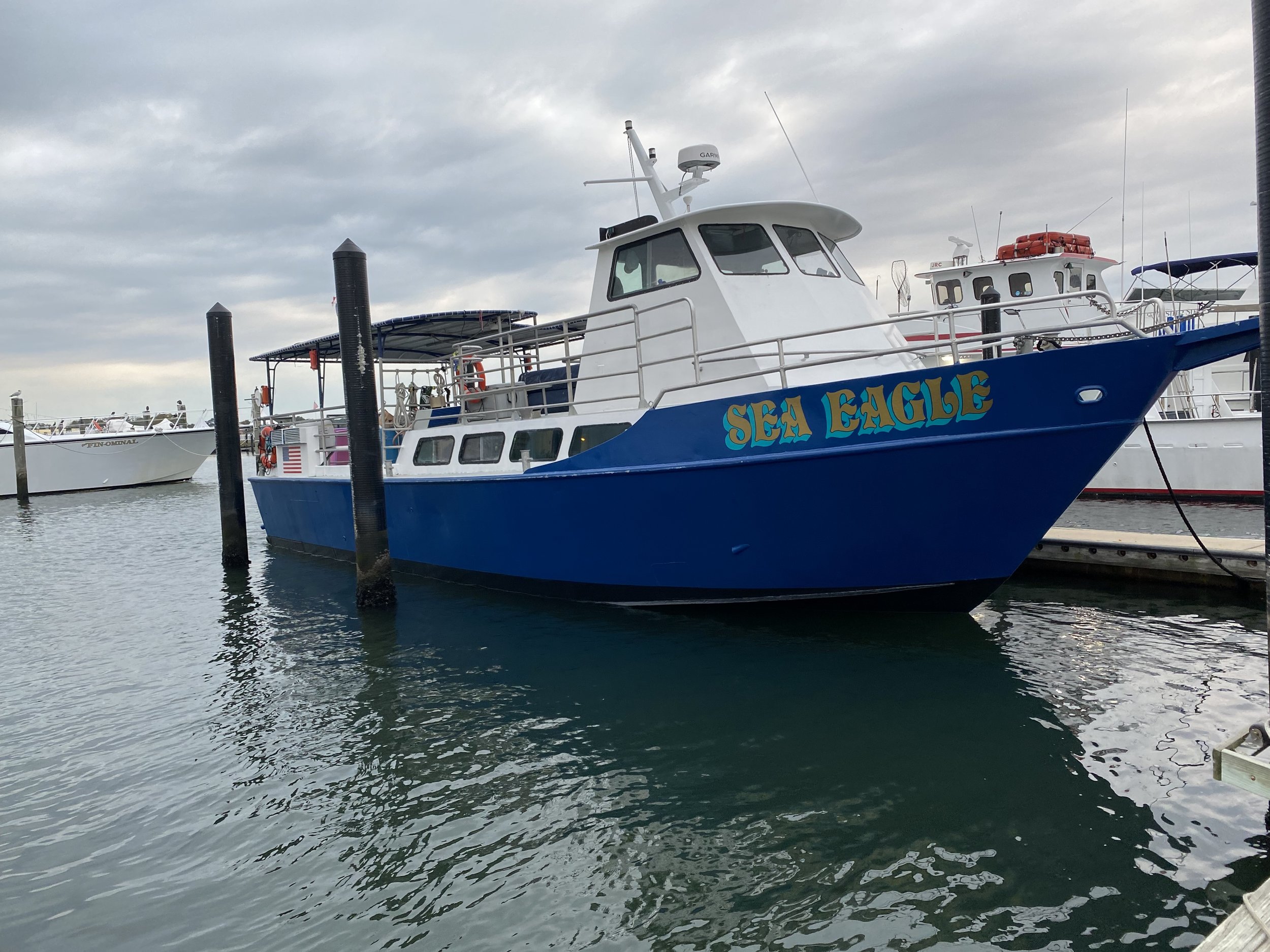 Sea Eagle Charter