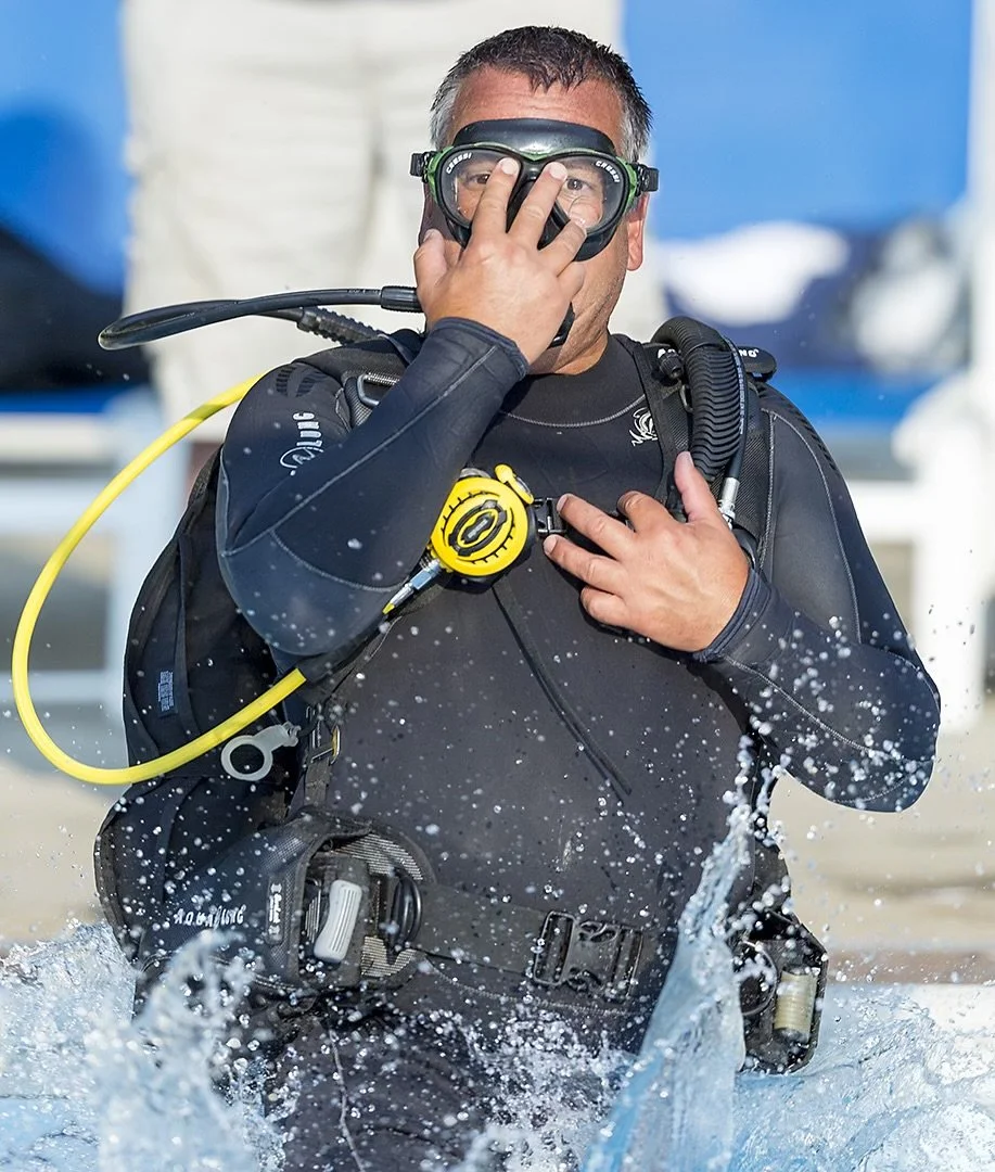 Steve Diguiseppe ; Dive Tables