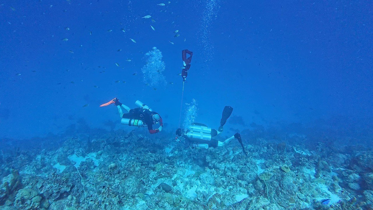 Two scuba divers exploring underwater near the ocean floor with rocks, surrounded by small fish.
