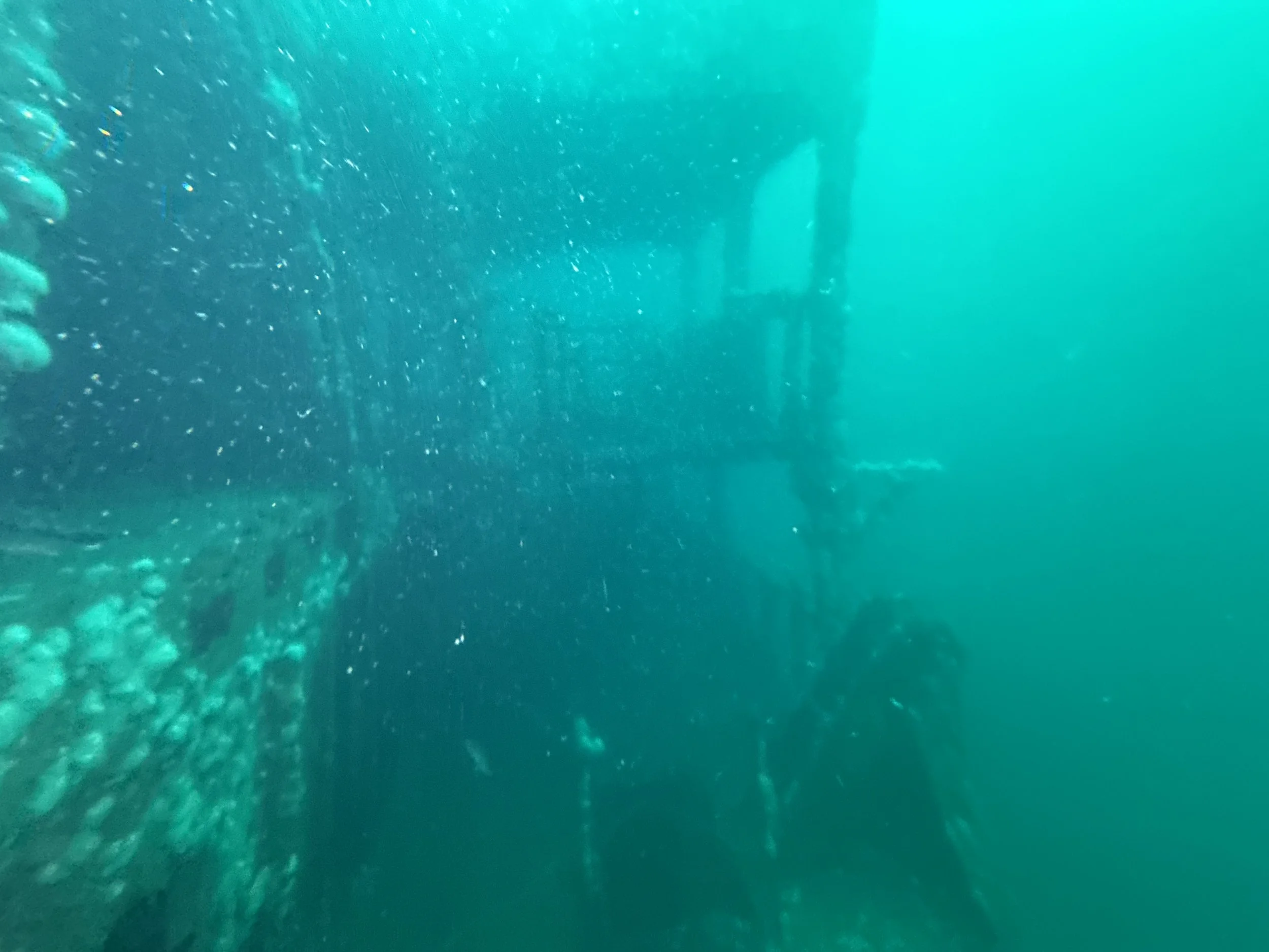 SportDiver_20250824_083417.jpeg