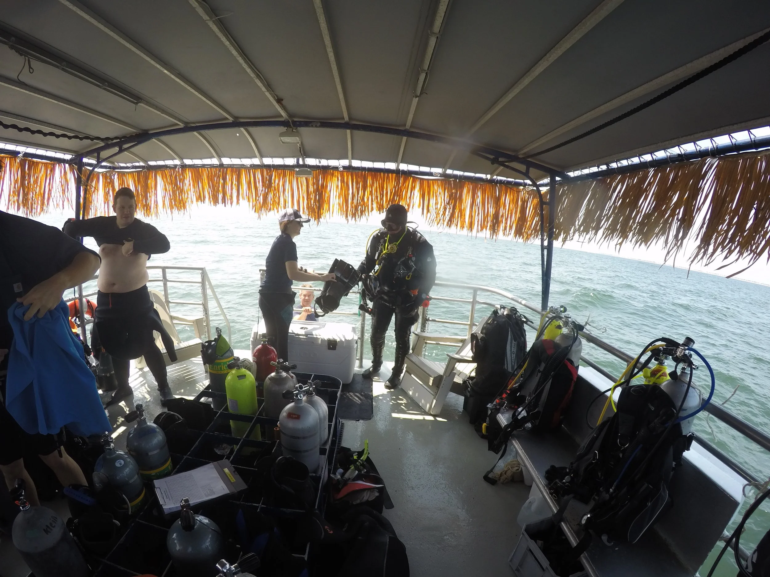 GOPR3518.jpg