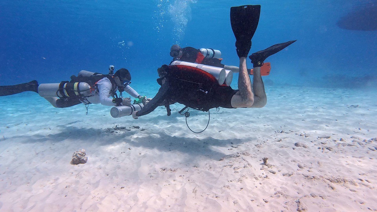 Two scuba divers underwater exploring the ocean floor, equipped with diving gear and fins.