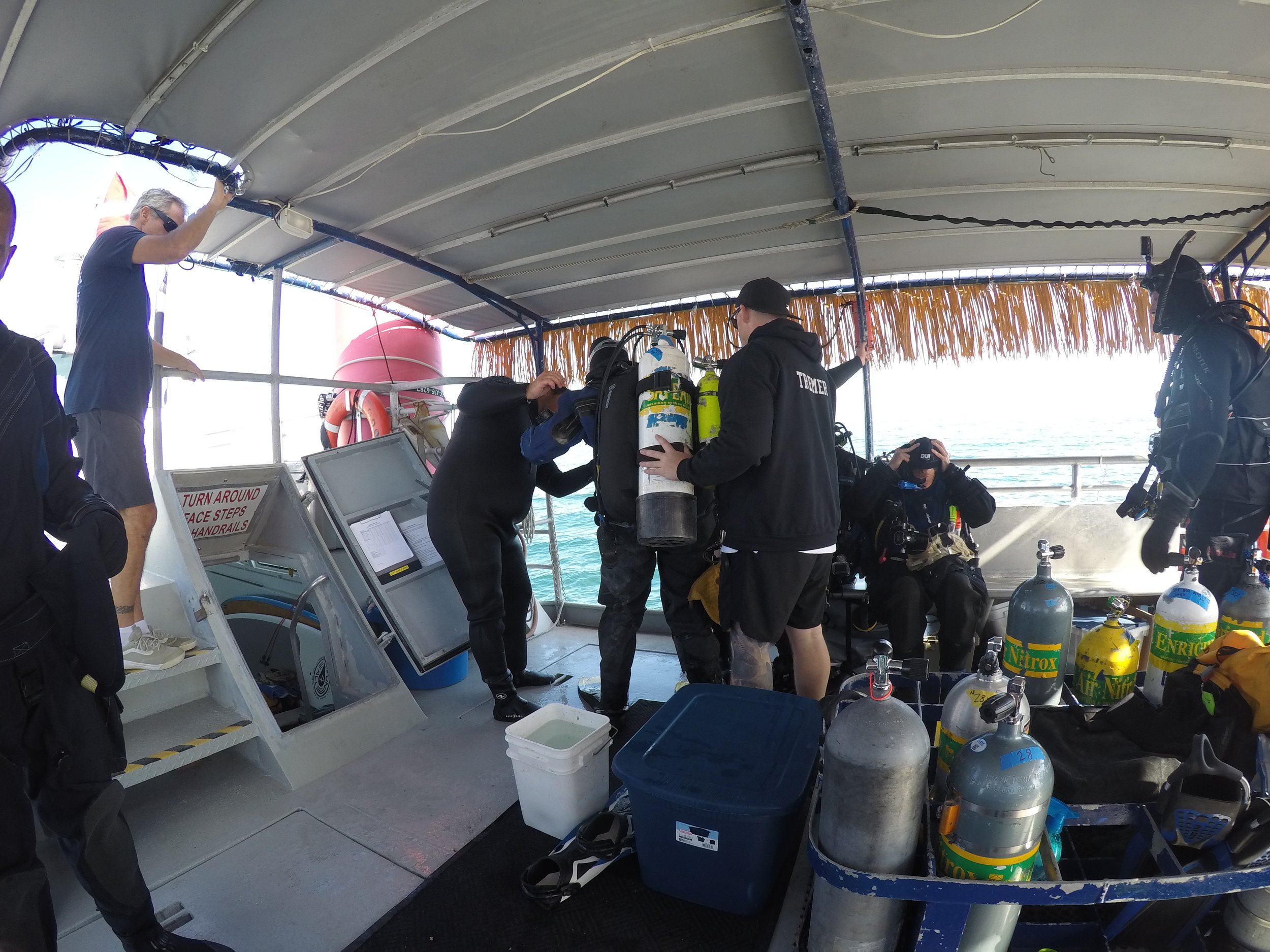 GOPR0733.jpg