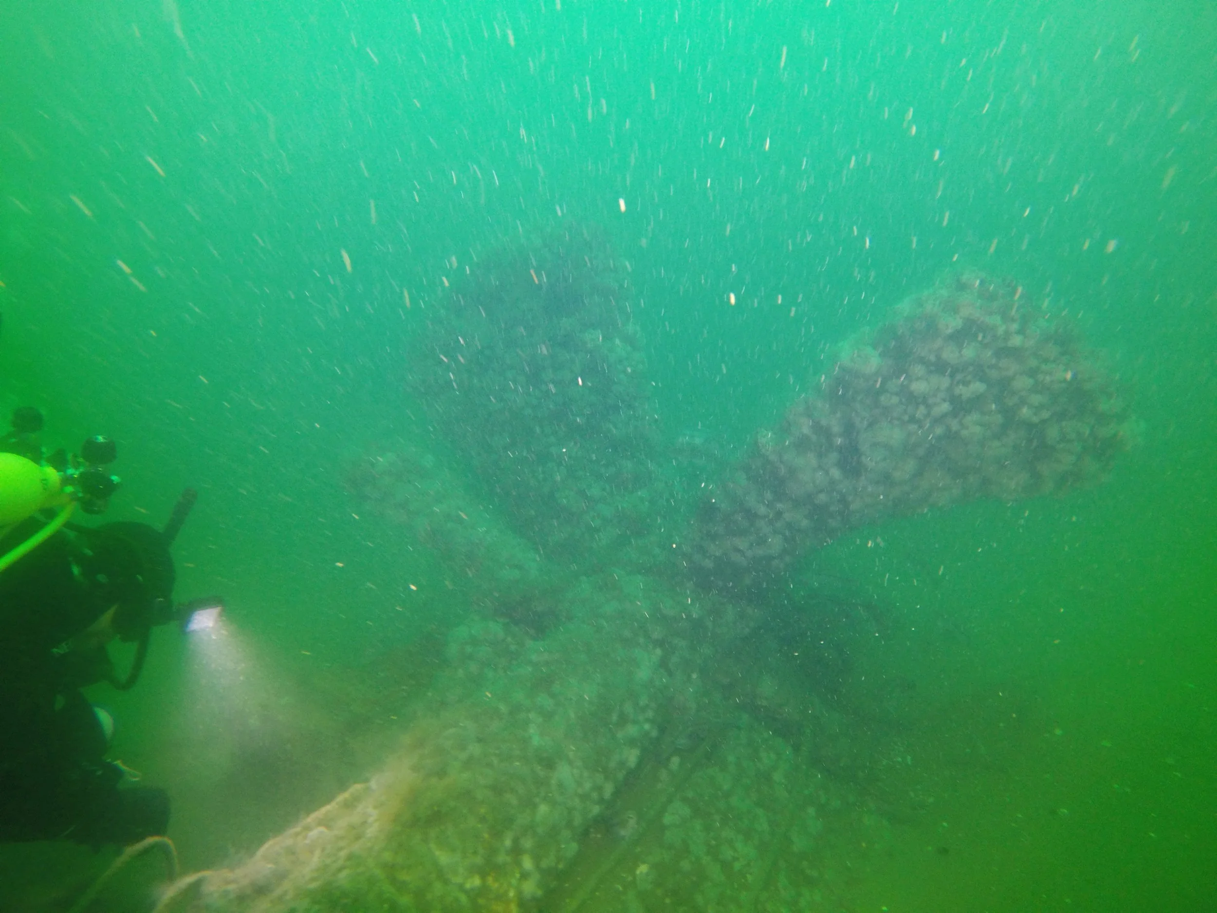 G0121093-2.jpg