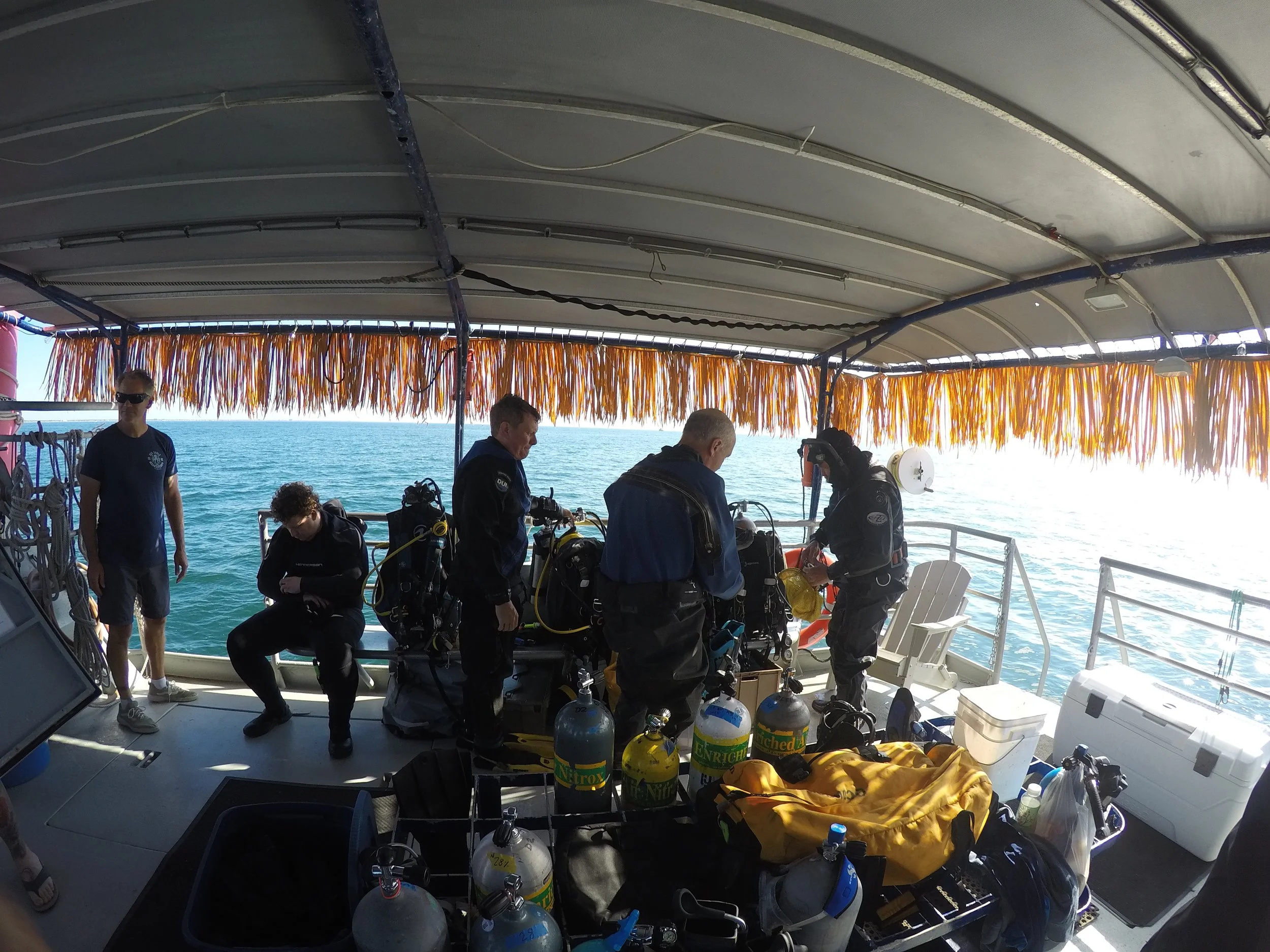 GOPR0729.jpg