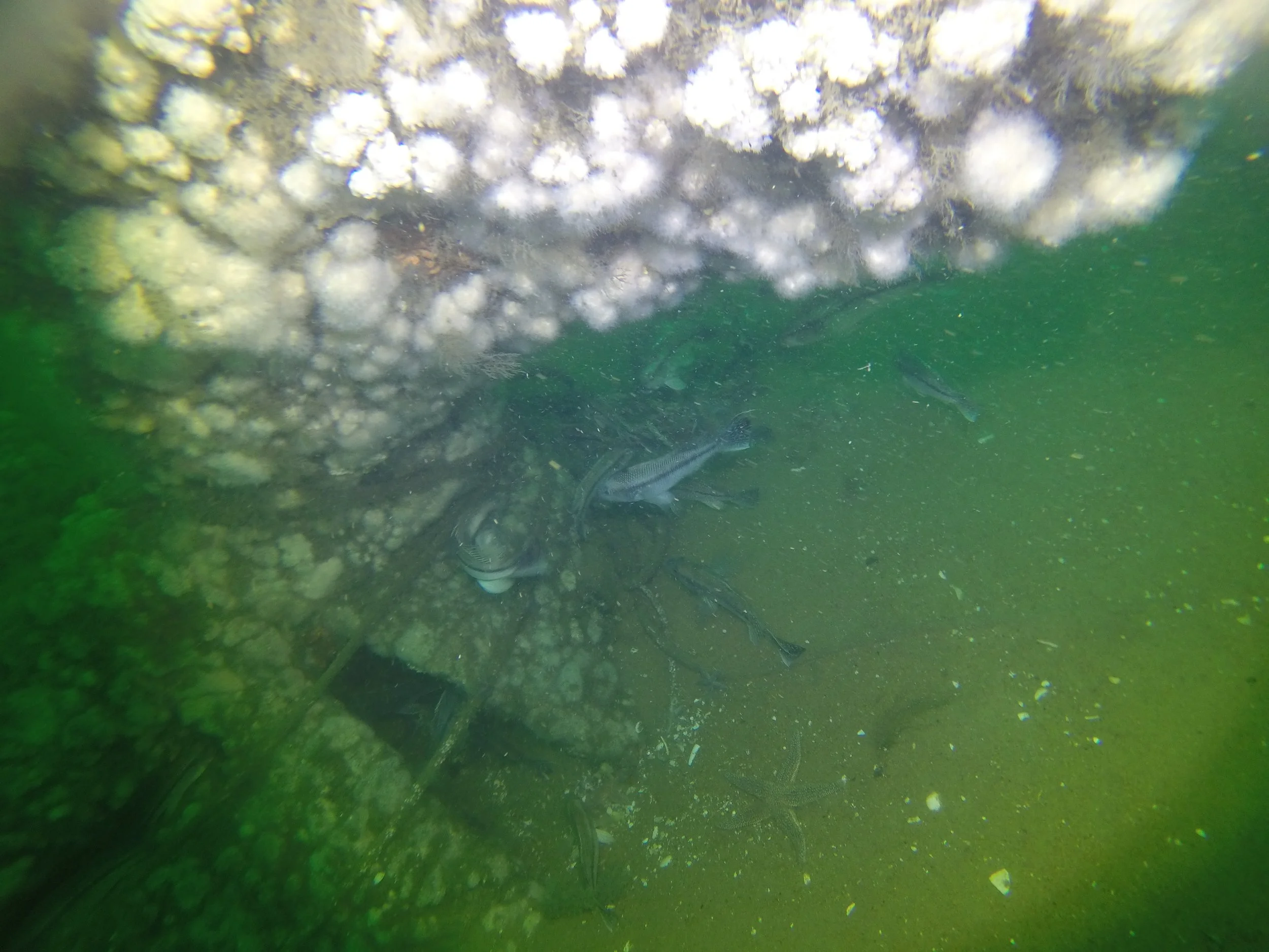 G0141136.jpg