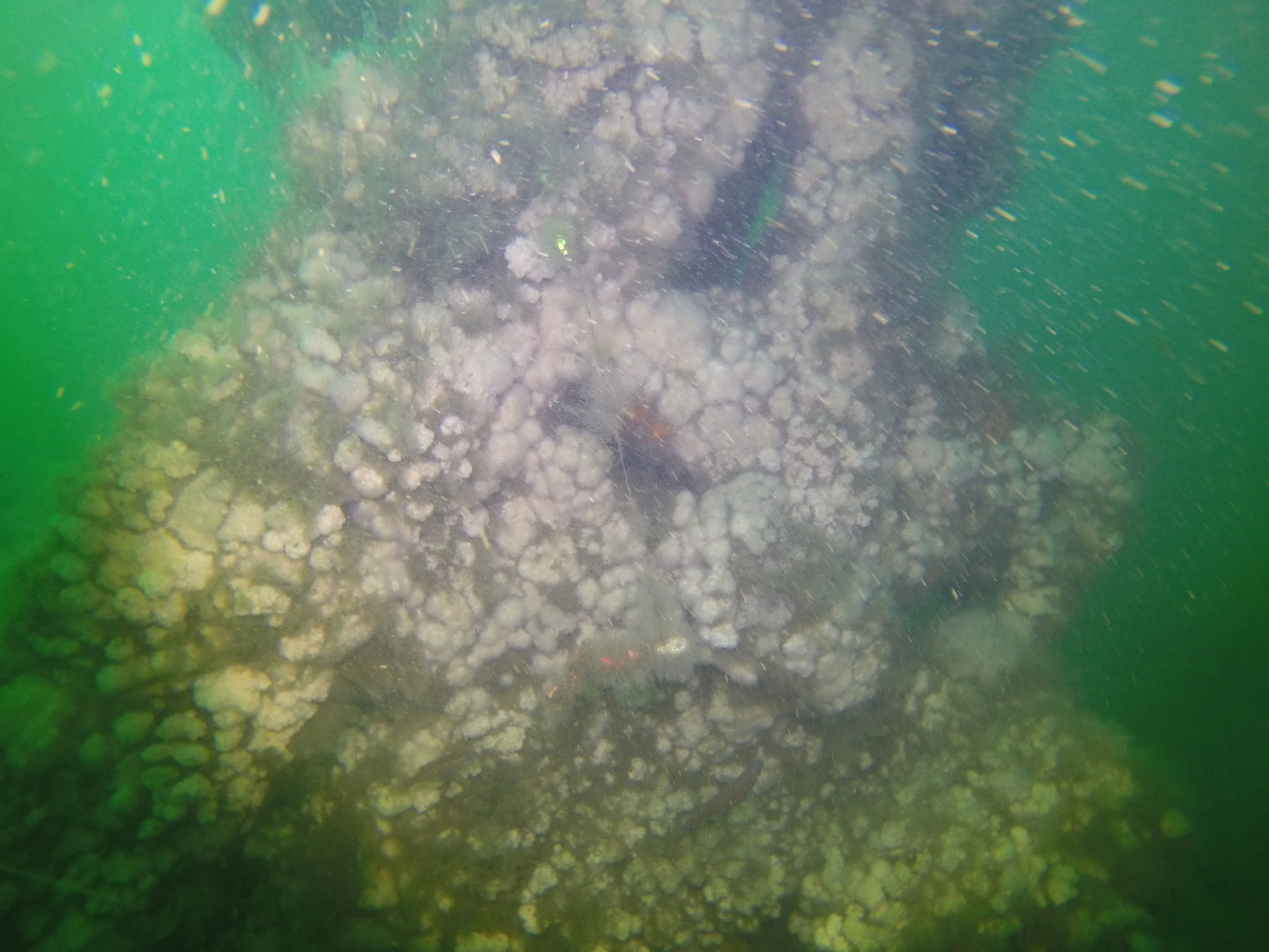 G0070930.jpg