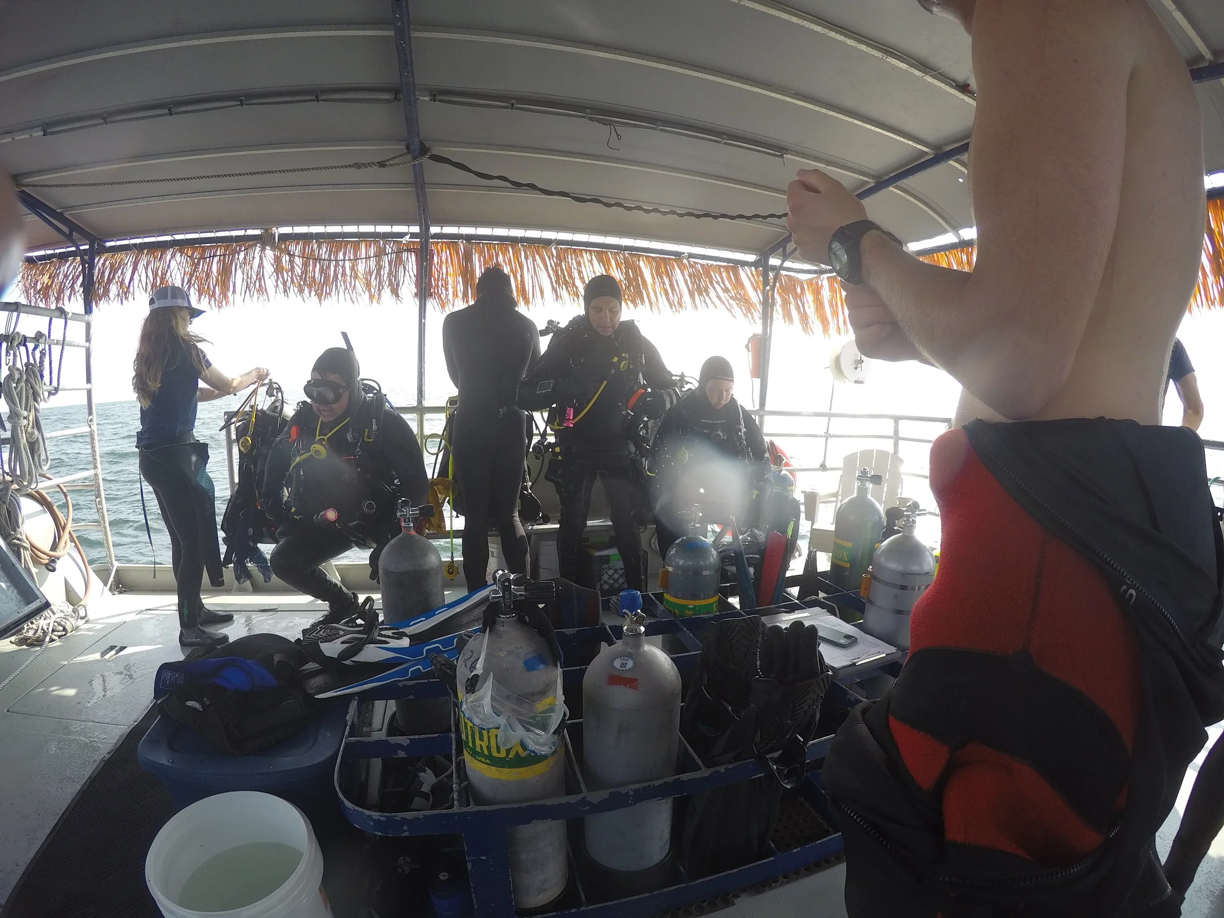 GOPR3450.jpg