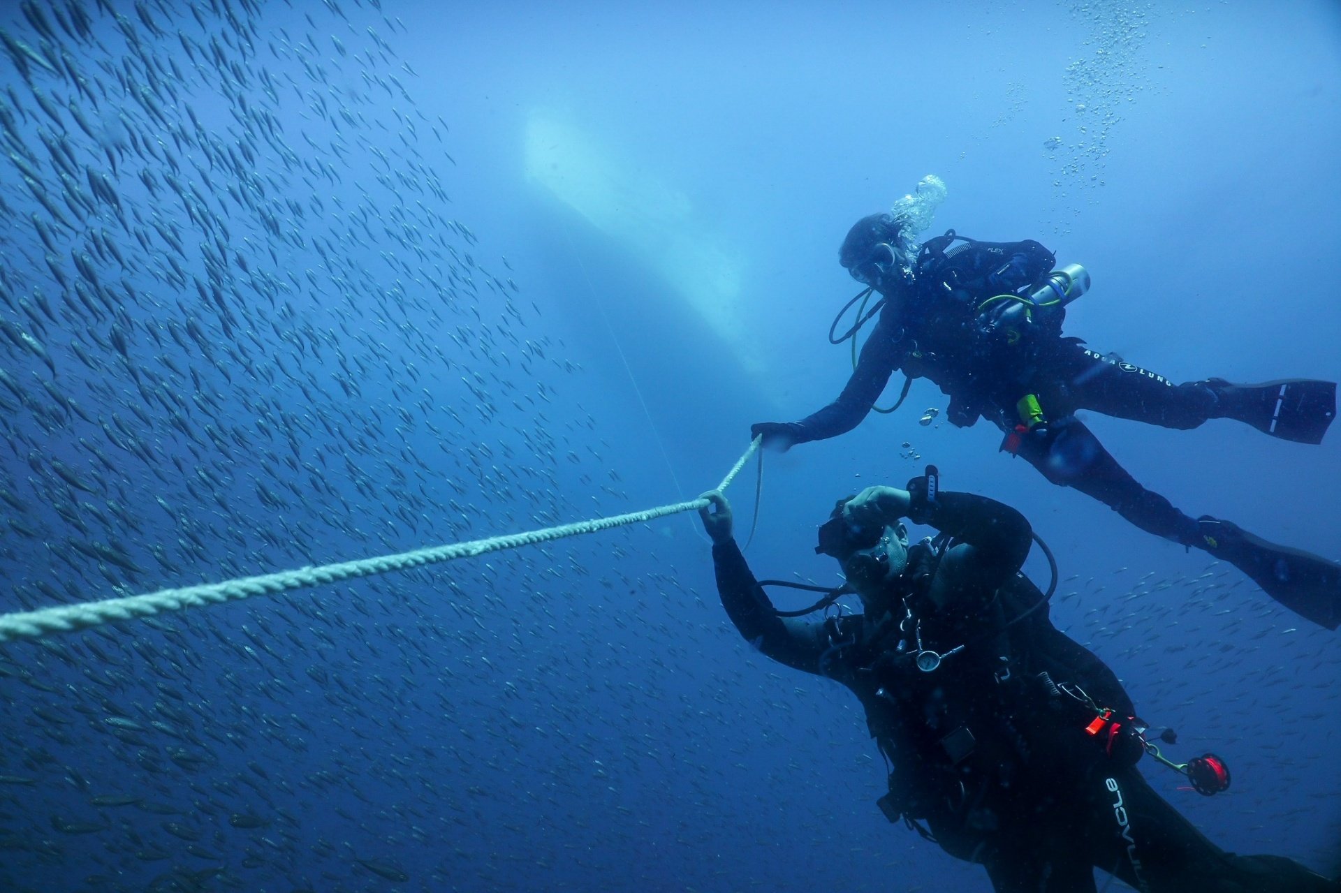 Two scuba divers underwater, holding a rope among a school of small fish.