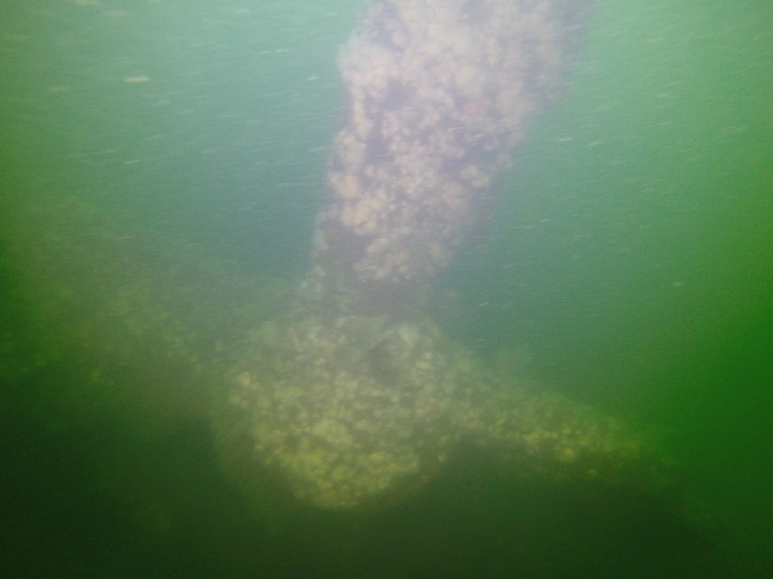 GOPR3462.jpg