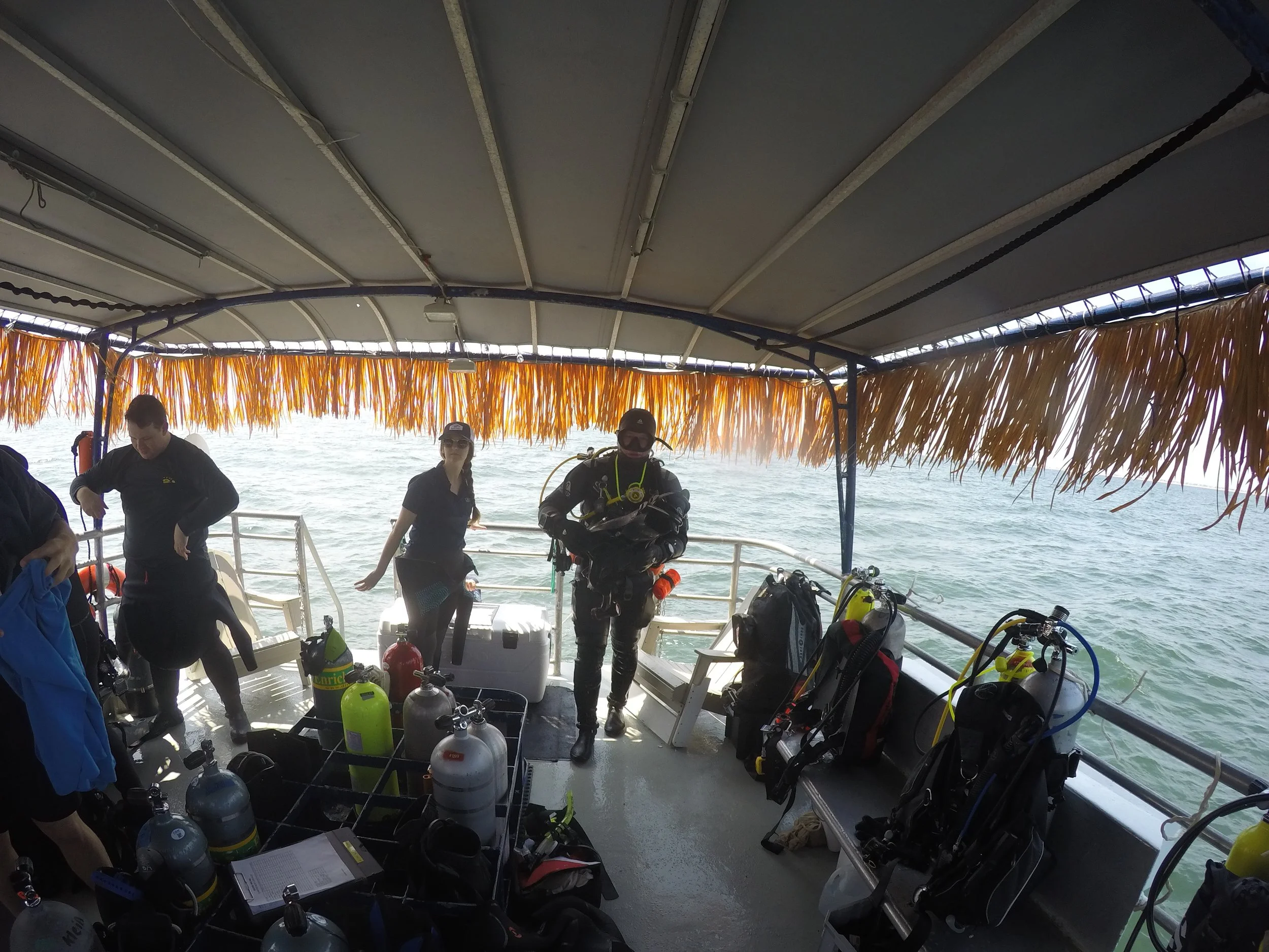 GOPR3519.jpg