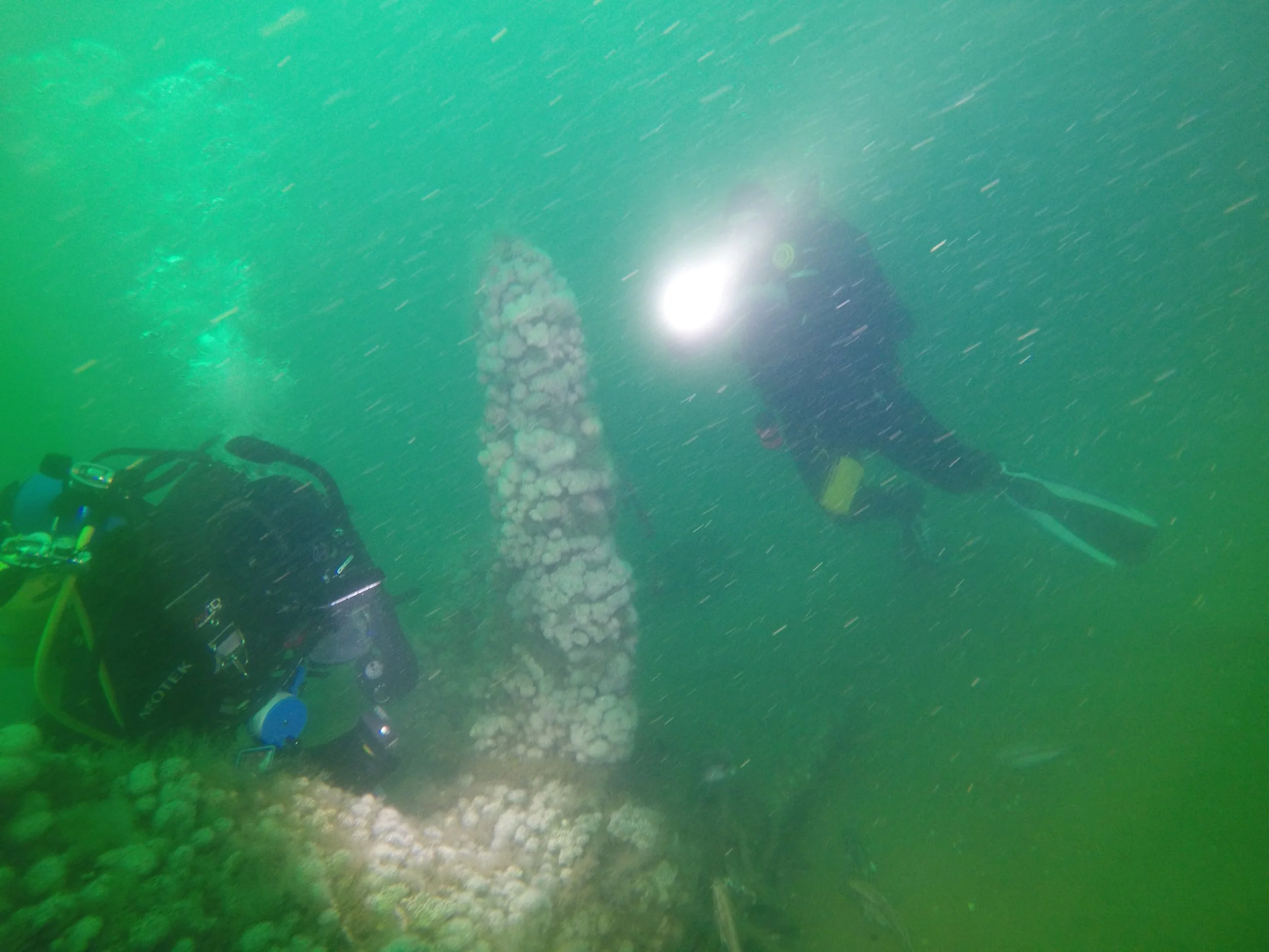 G0151162.jpg